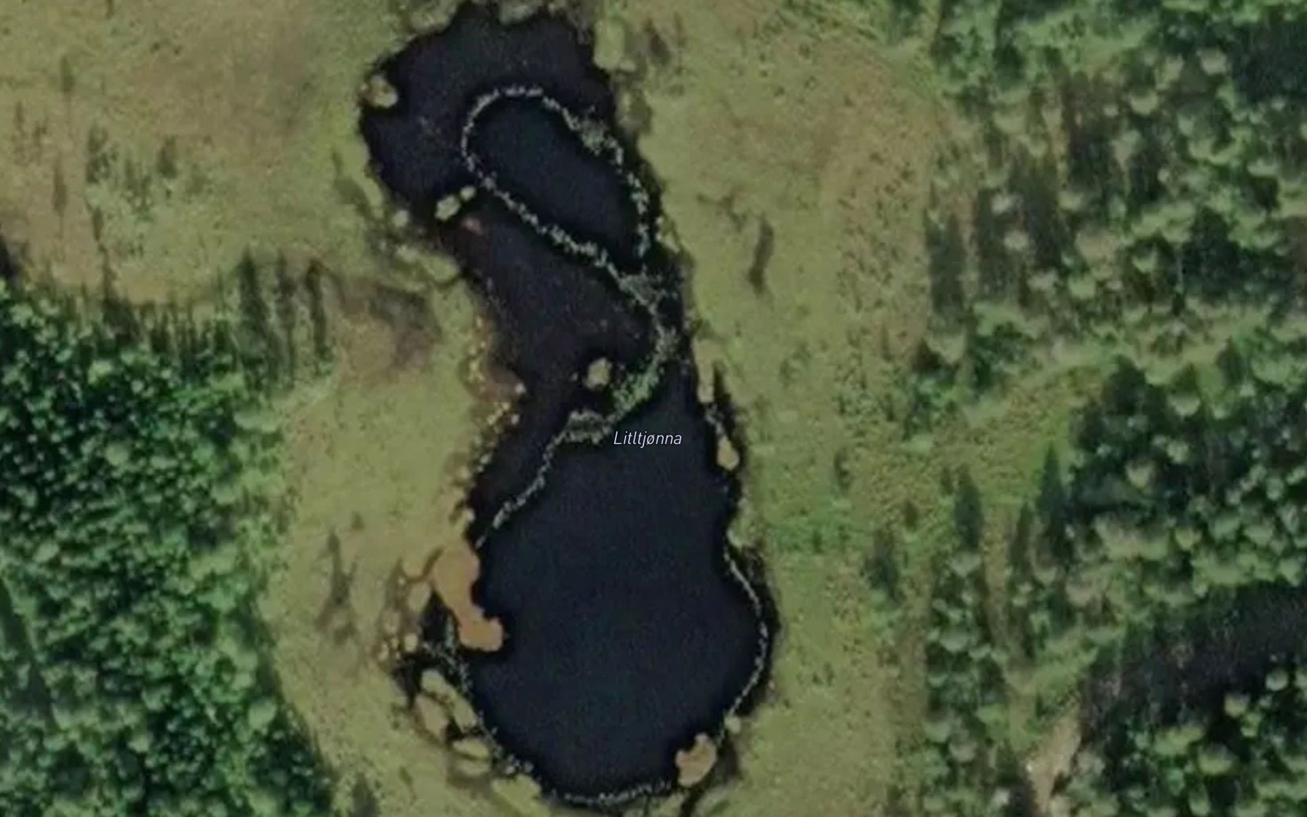 Litltjorna