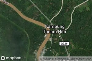 Tanjung Burong