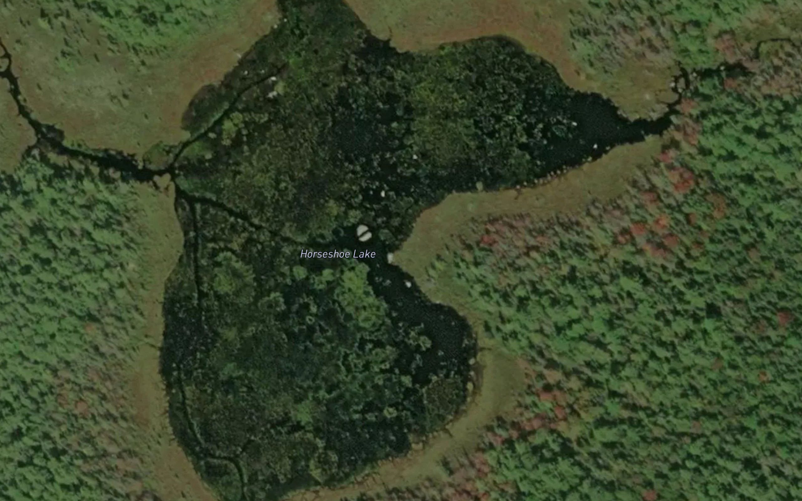Horseshoe Lake