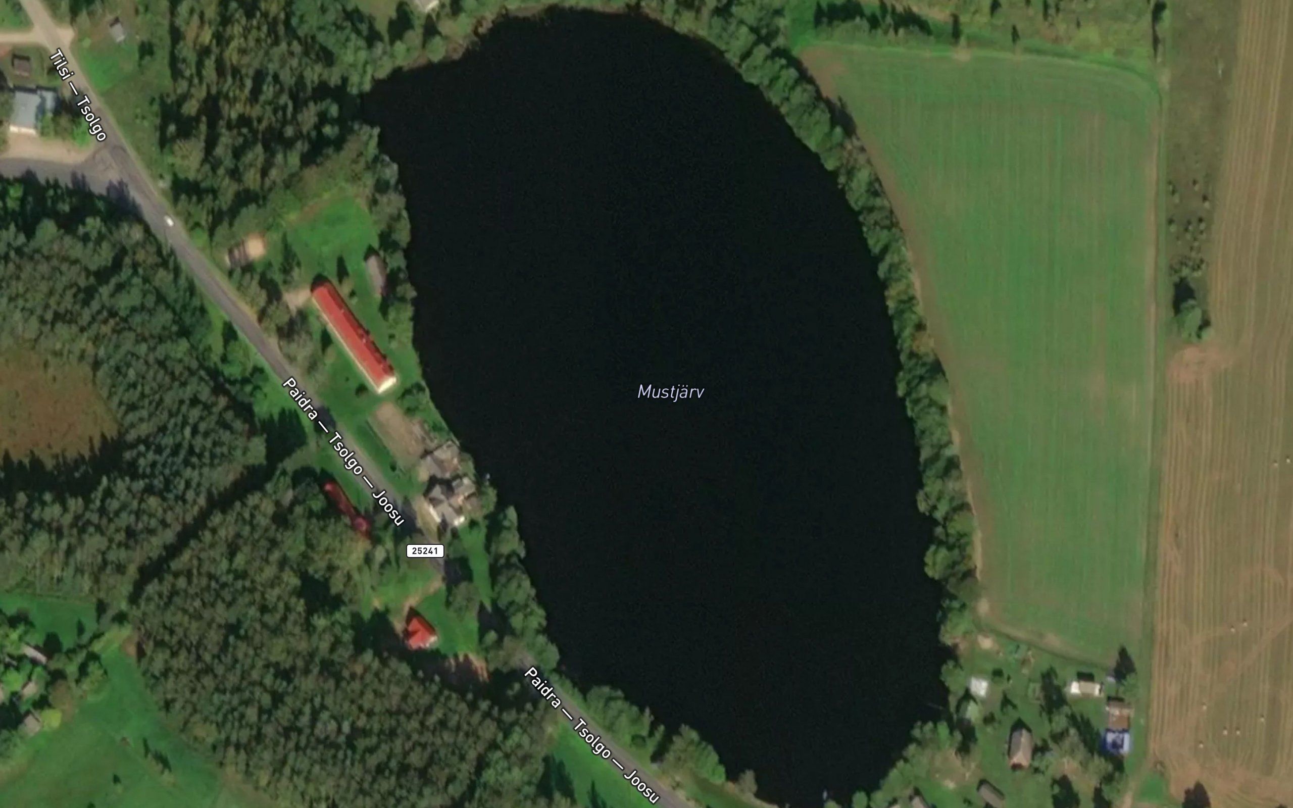 Tsolgo Mustjarv