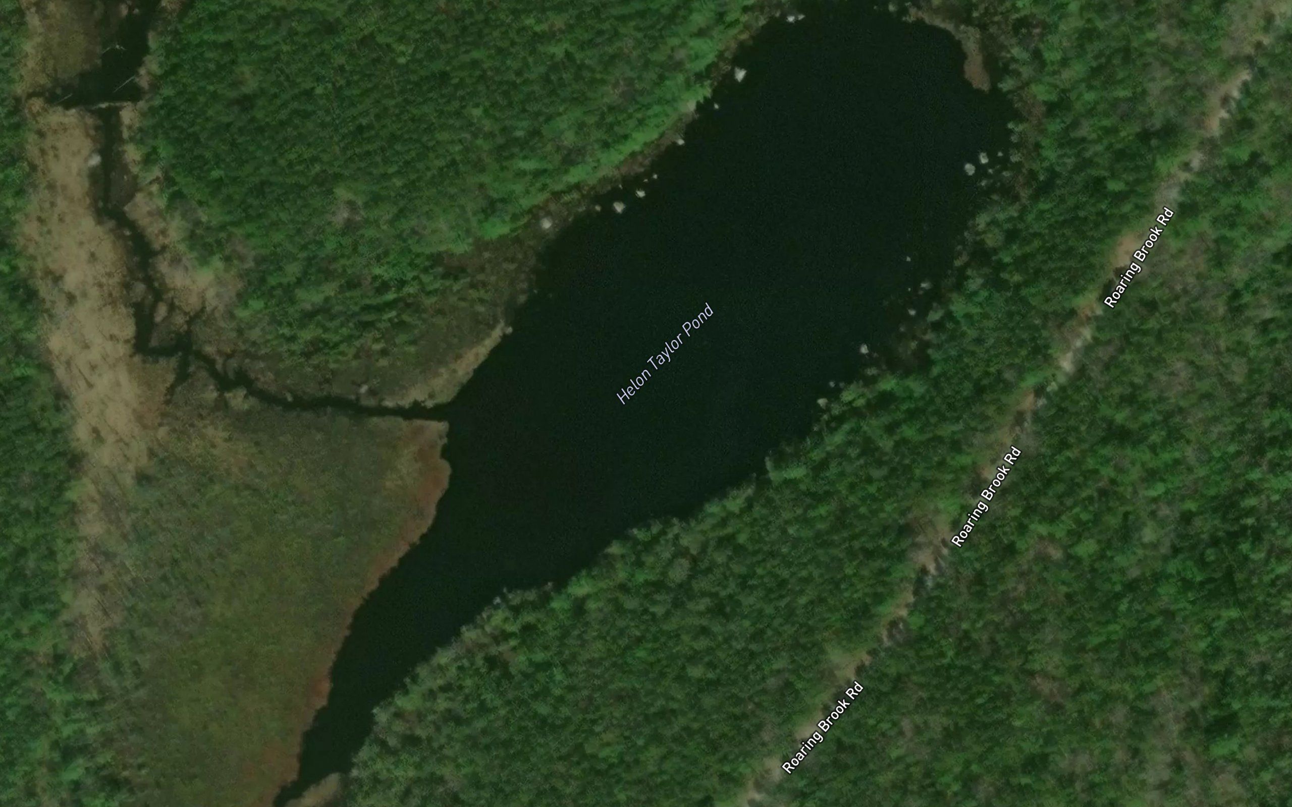 Helon Taylor Pond