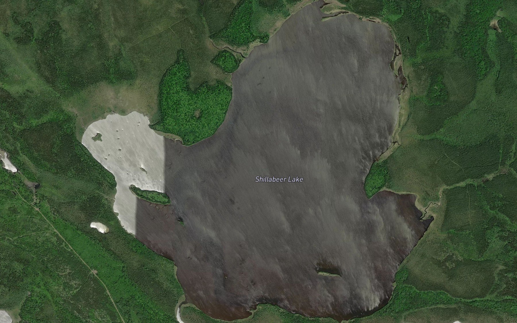 Satellite map of the Shillabeer Lake