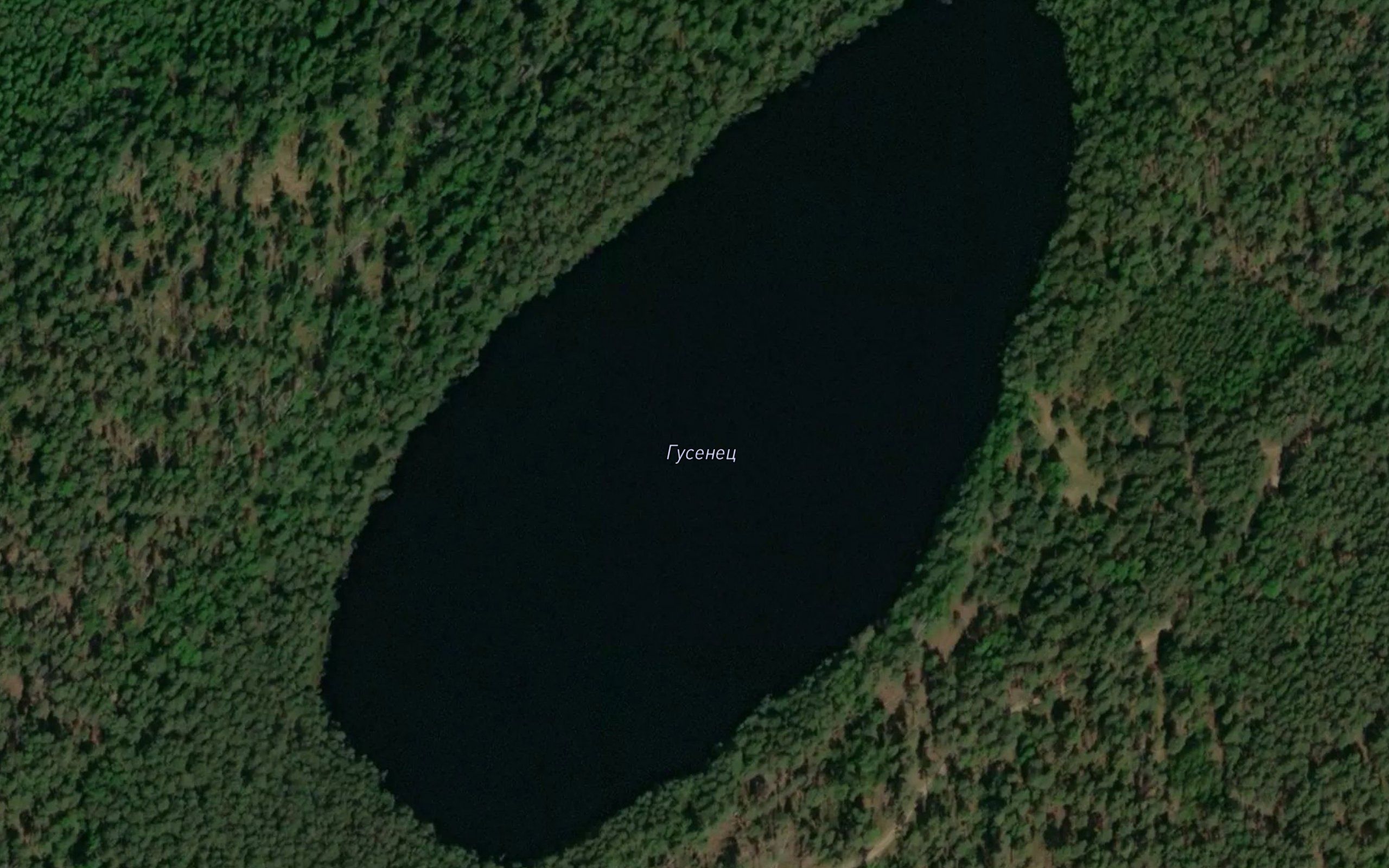 Ozero Gusenets