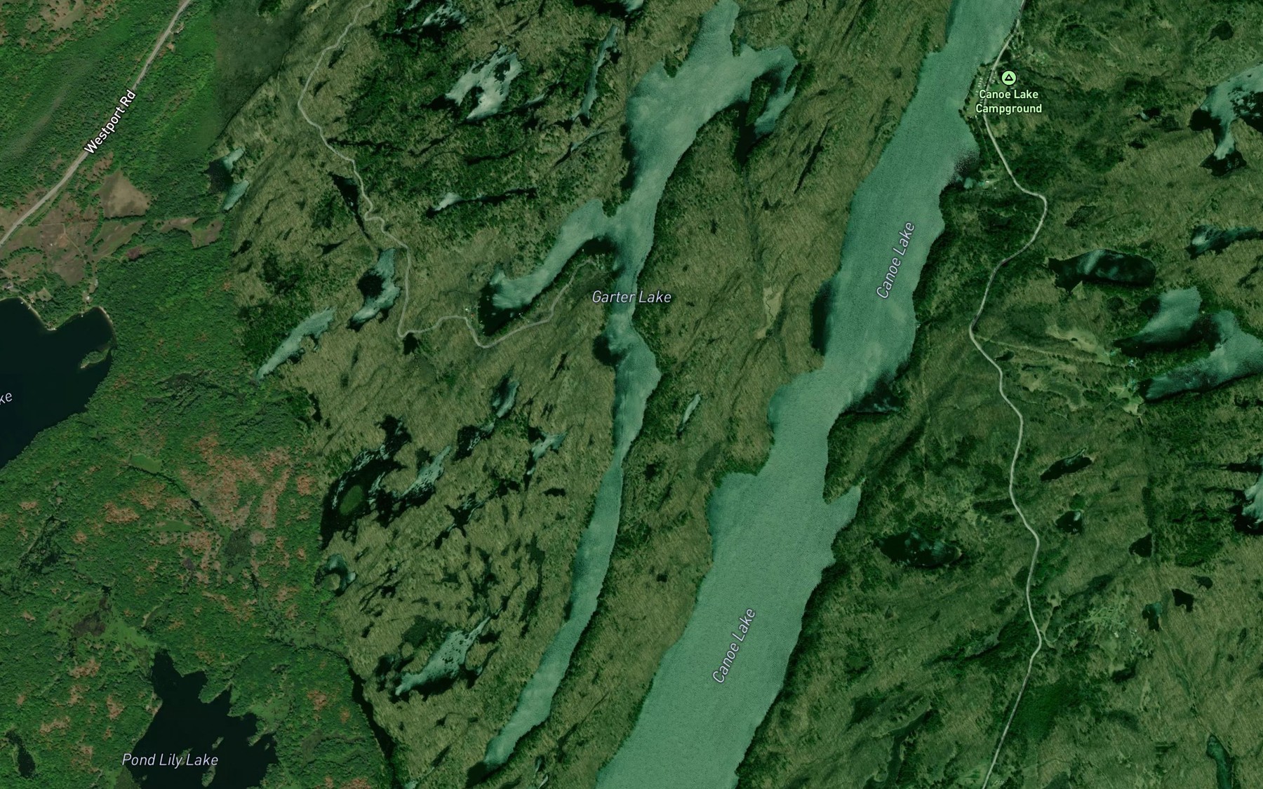 Satellite map of the Garter Lake