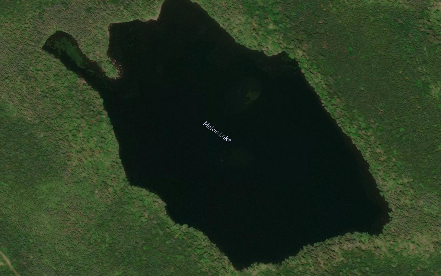 Satellite map of the Melvin Lake