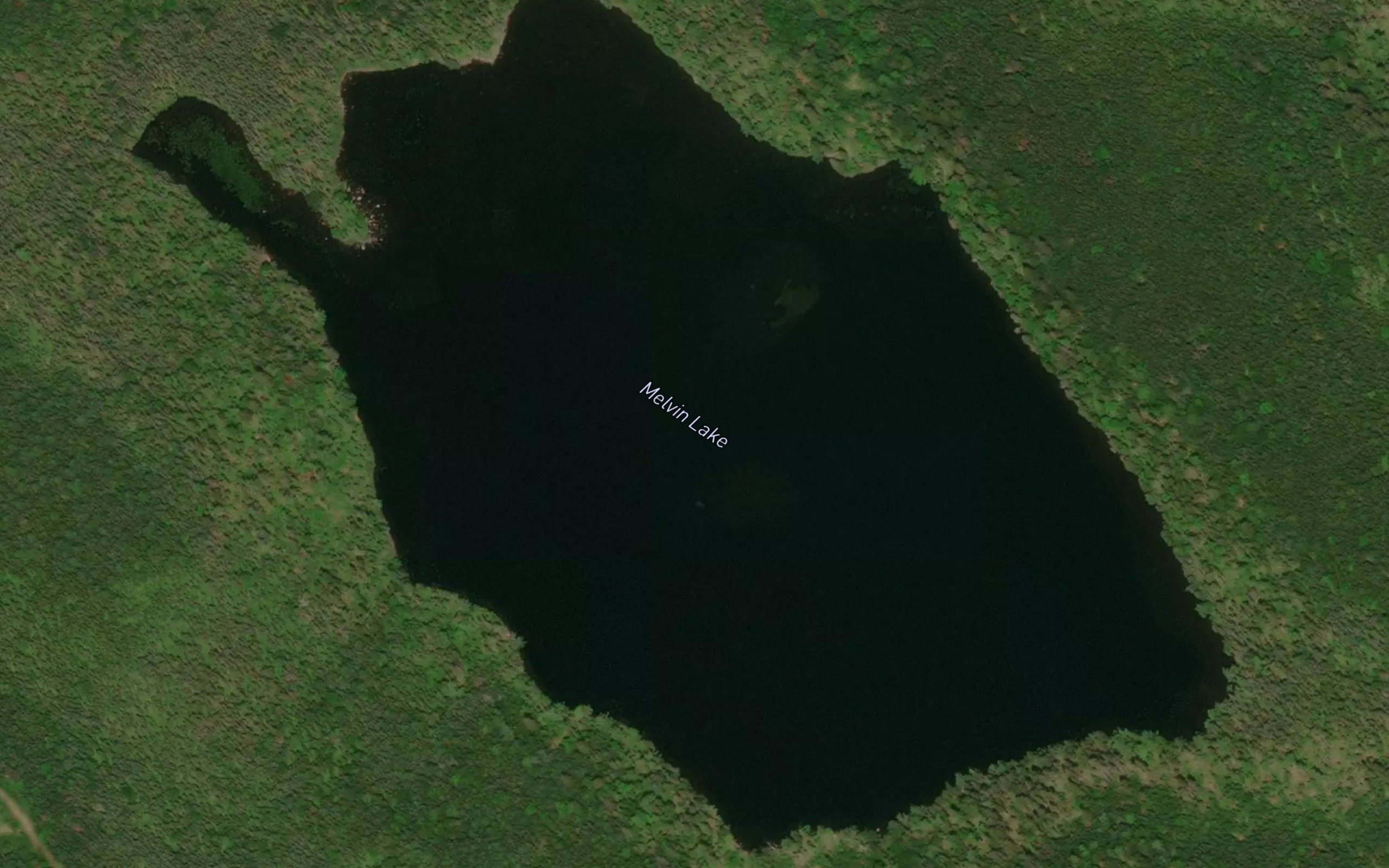 Melvin Lake