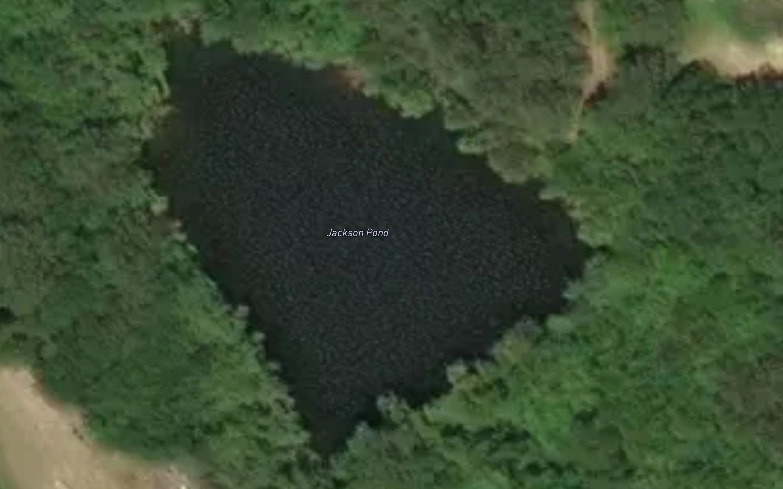 Jackson Pond