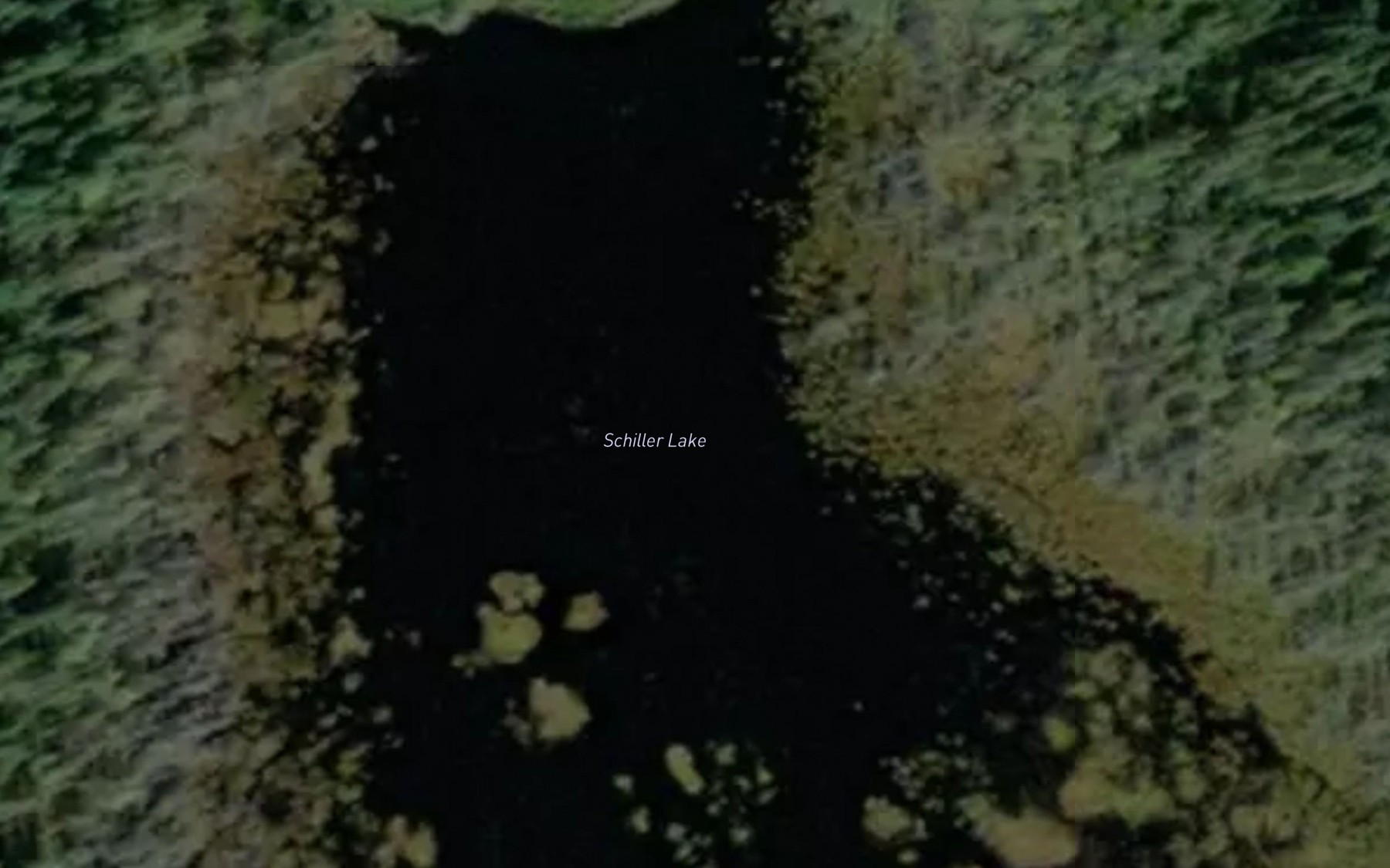 Satellite map of the Schiller Lake