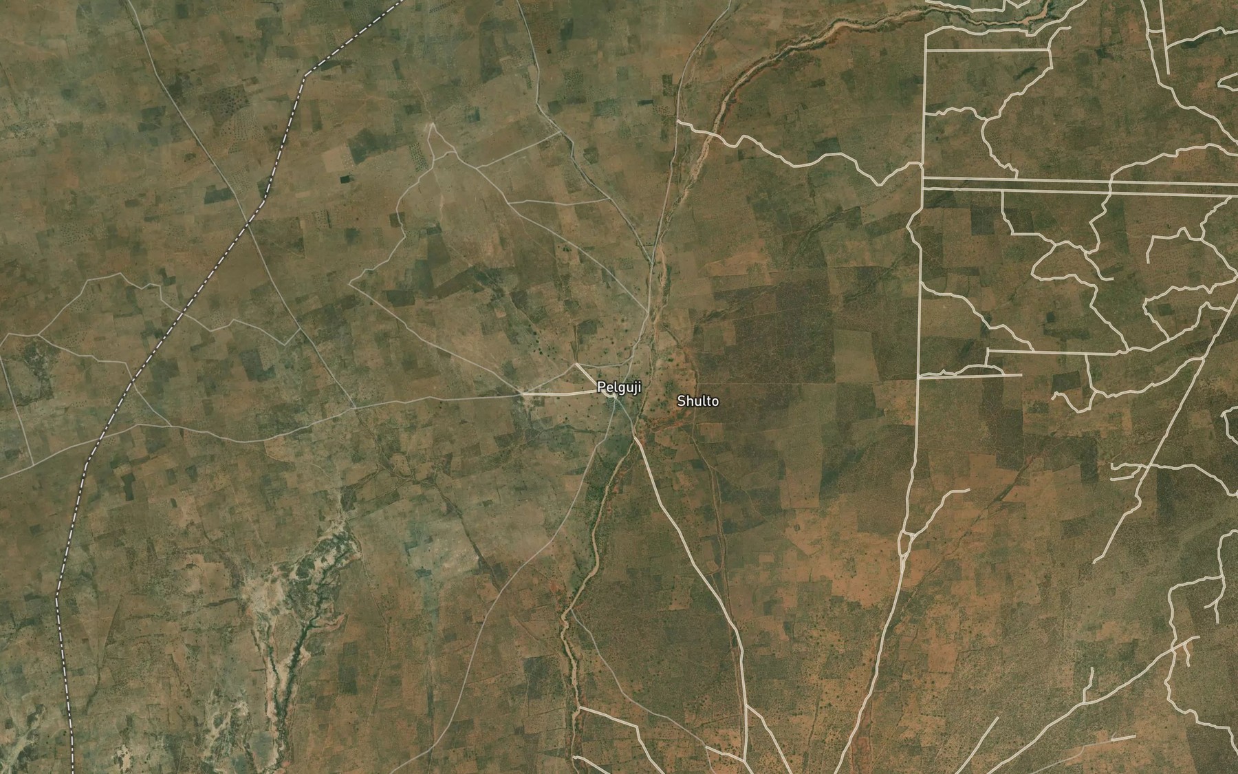 Satellite map of the Pelguji