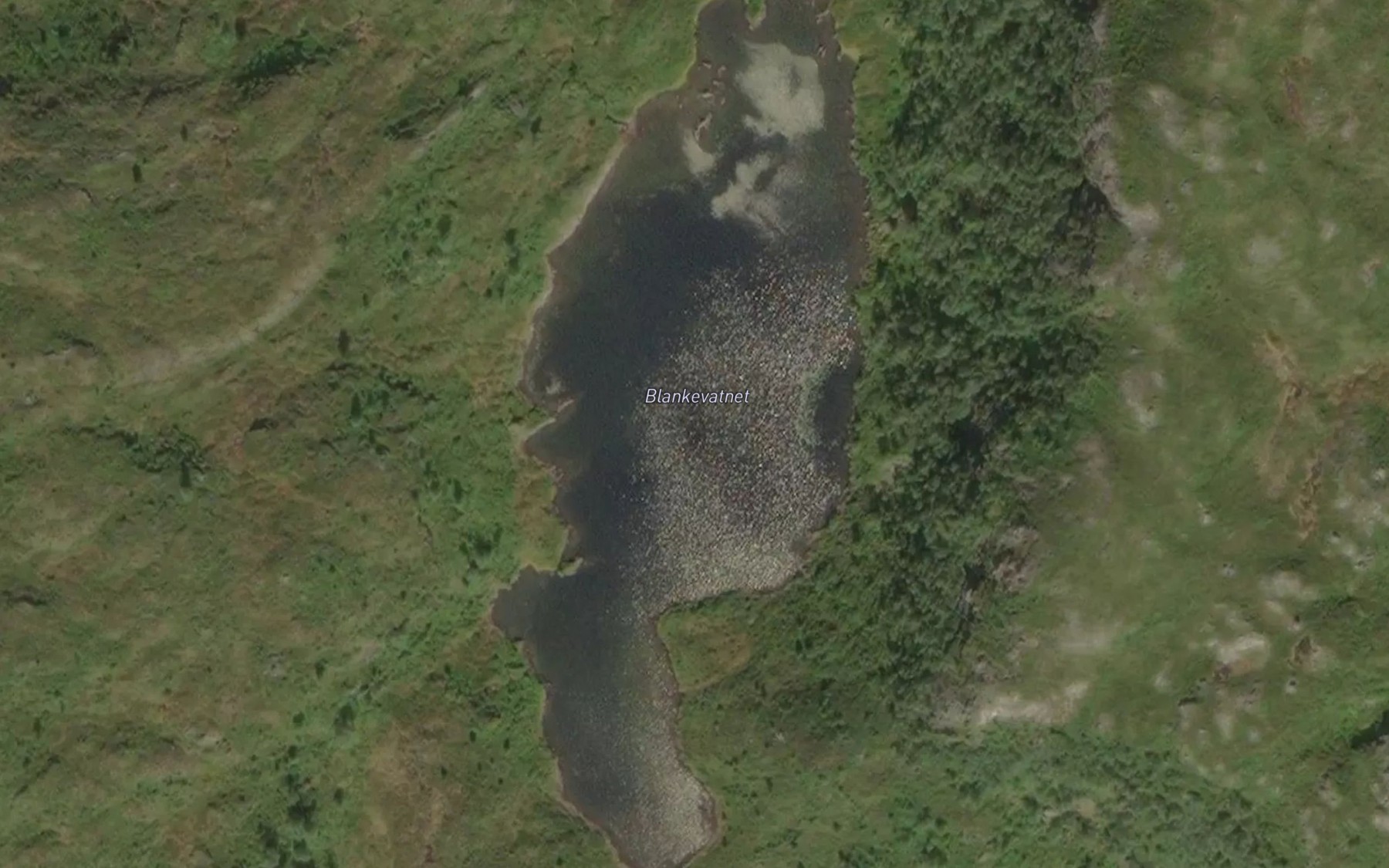 Satellite map of the Blankevatnet