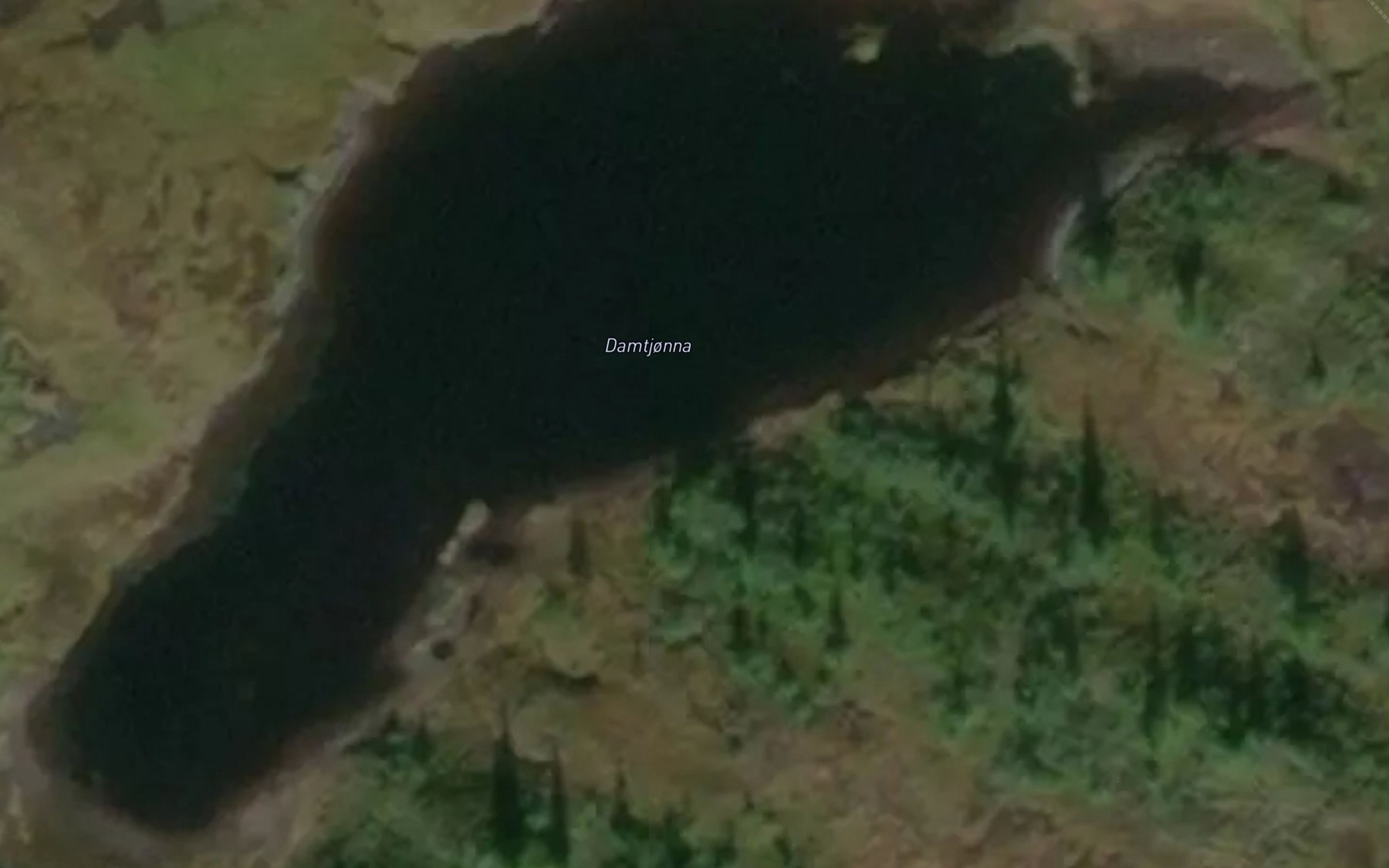 Satellite map of the Damtjonna