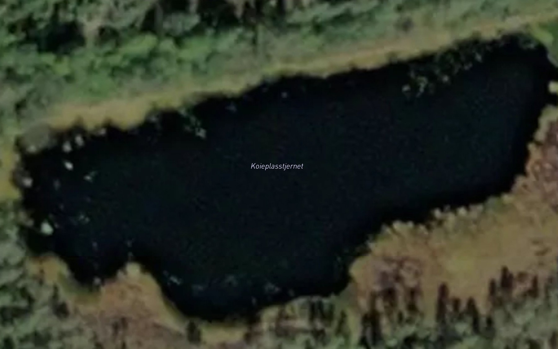 Satellite map of the Koieplasstjernet