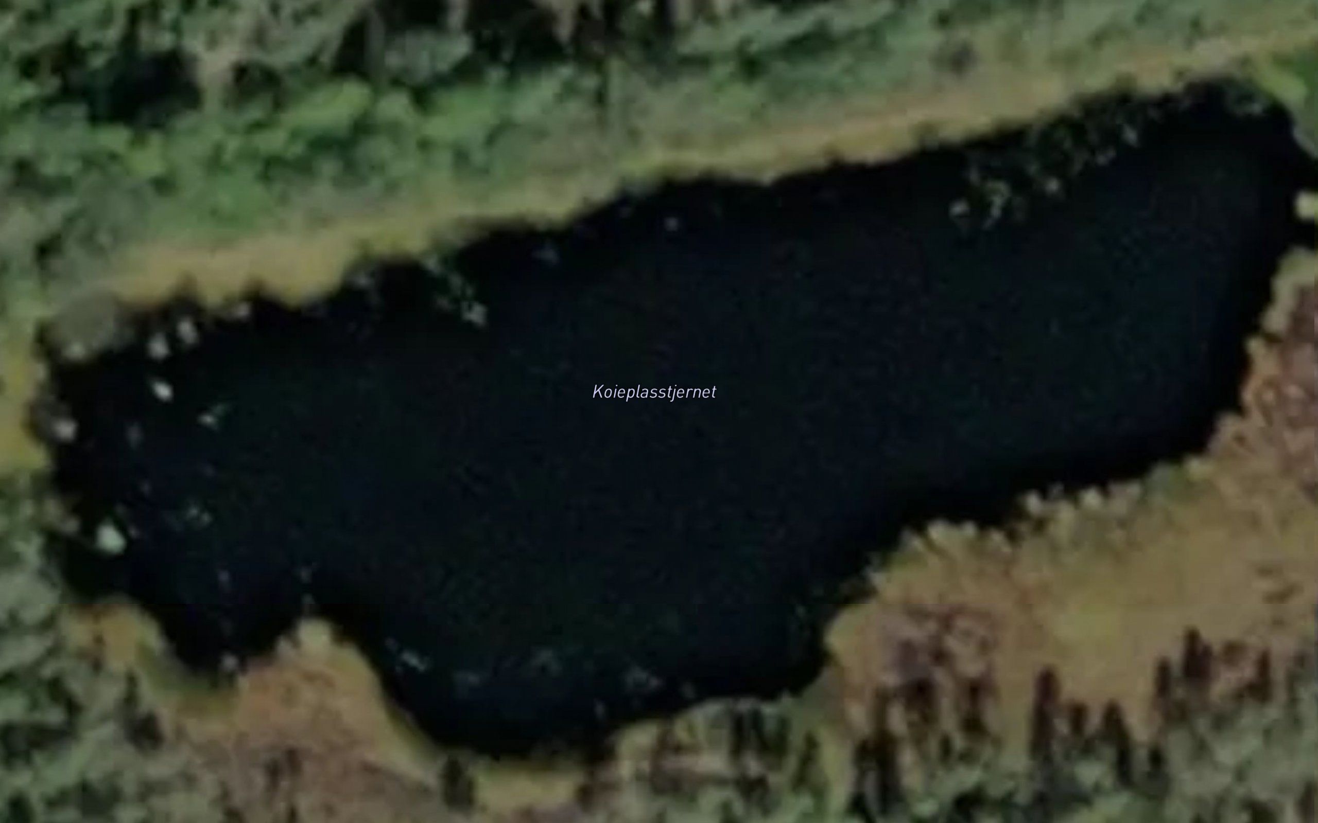 Koieplasstjernet