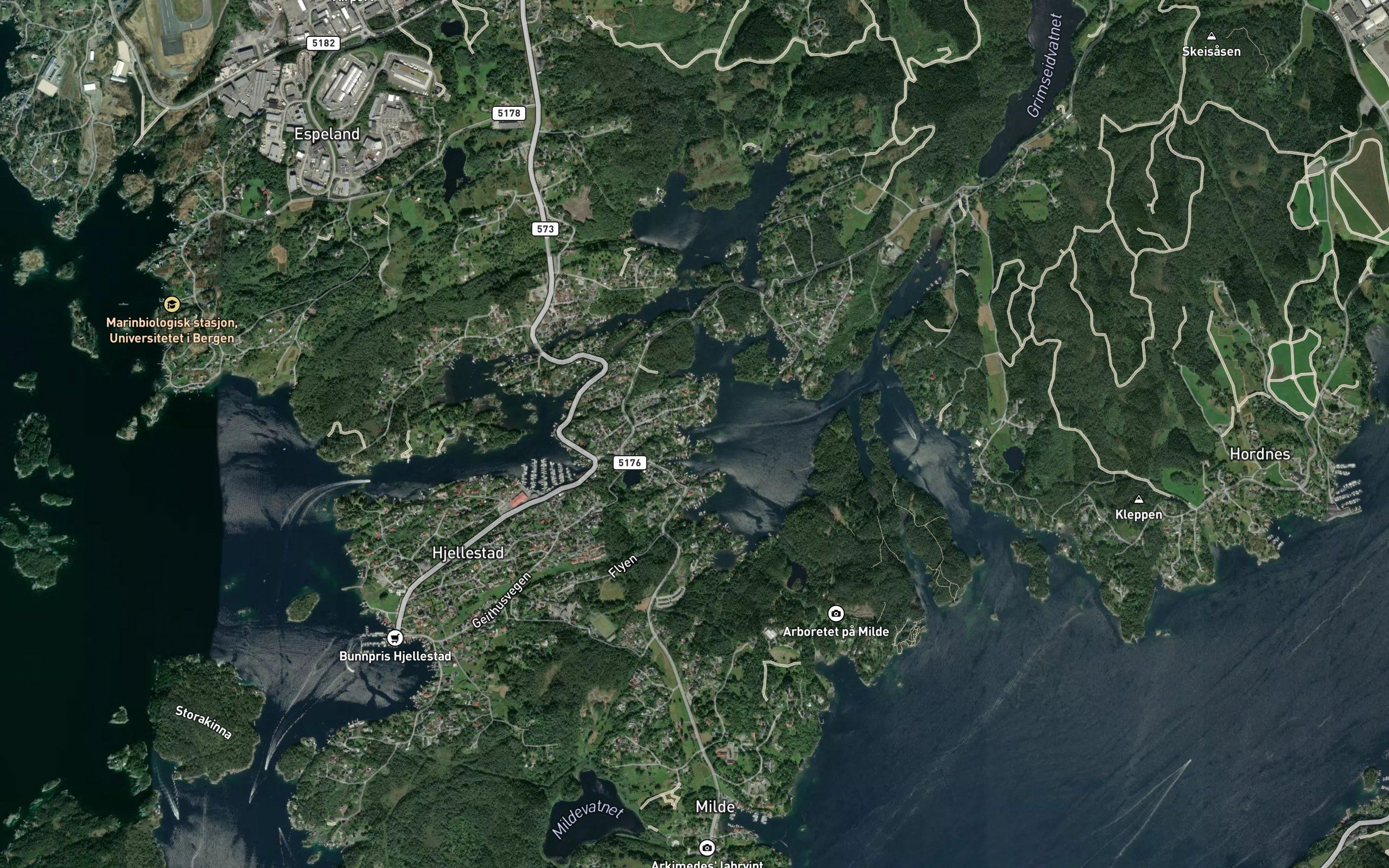 Eikevika