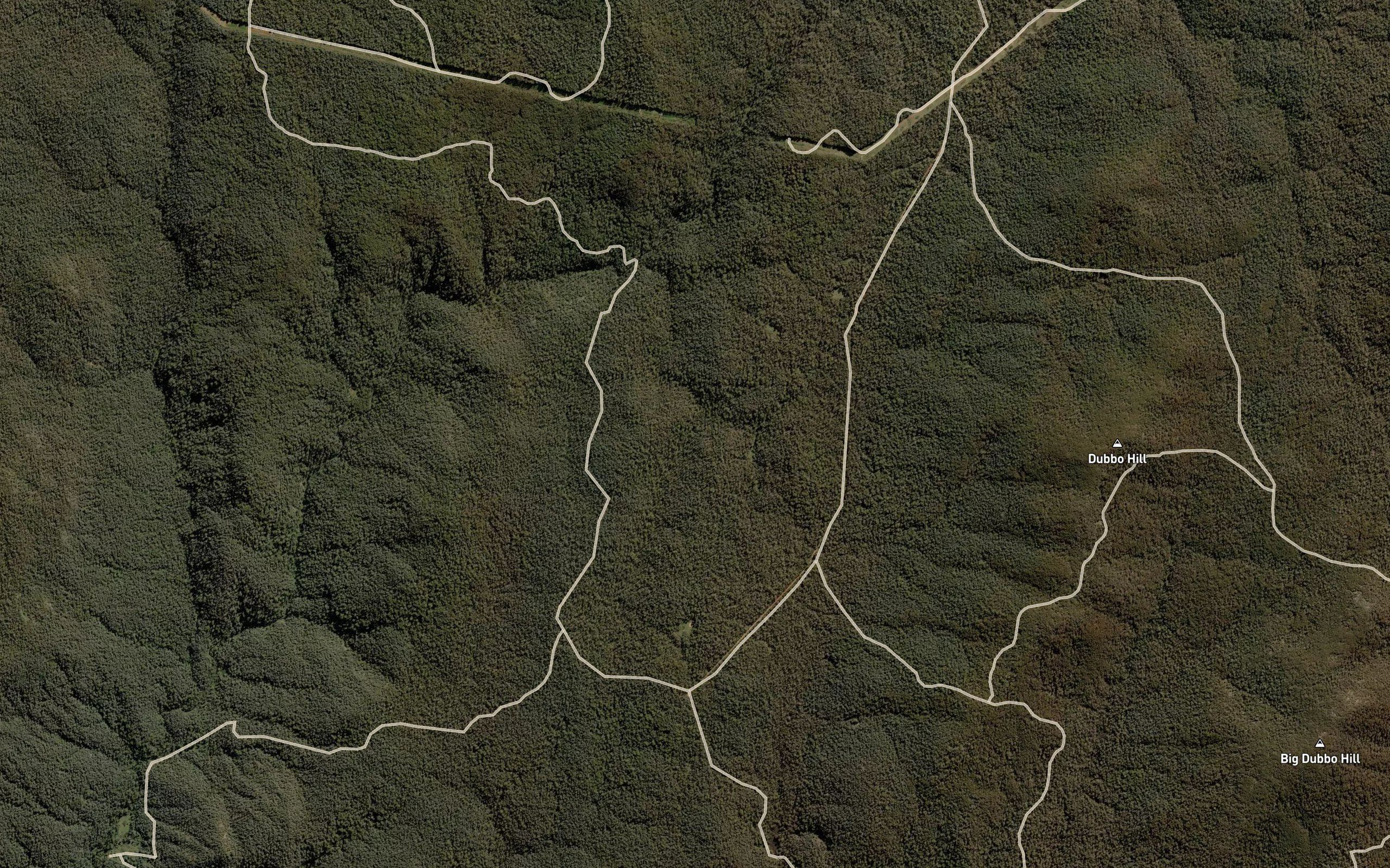 Pinchgut Gully
