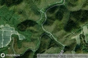 Petercave Fork
