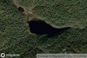 Kurupaan Taimenjarvi