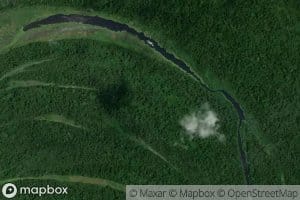 Aguajales de Mapicute