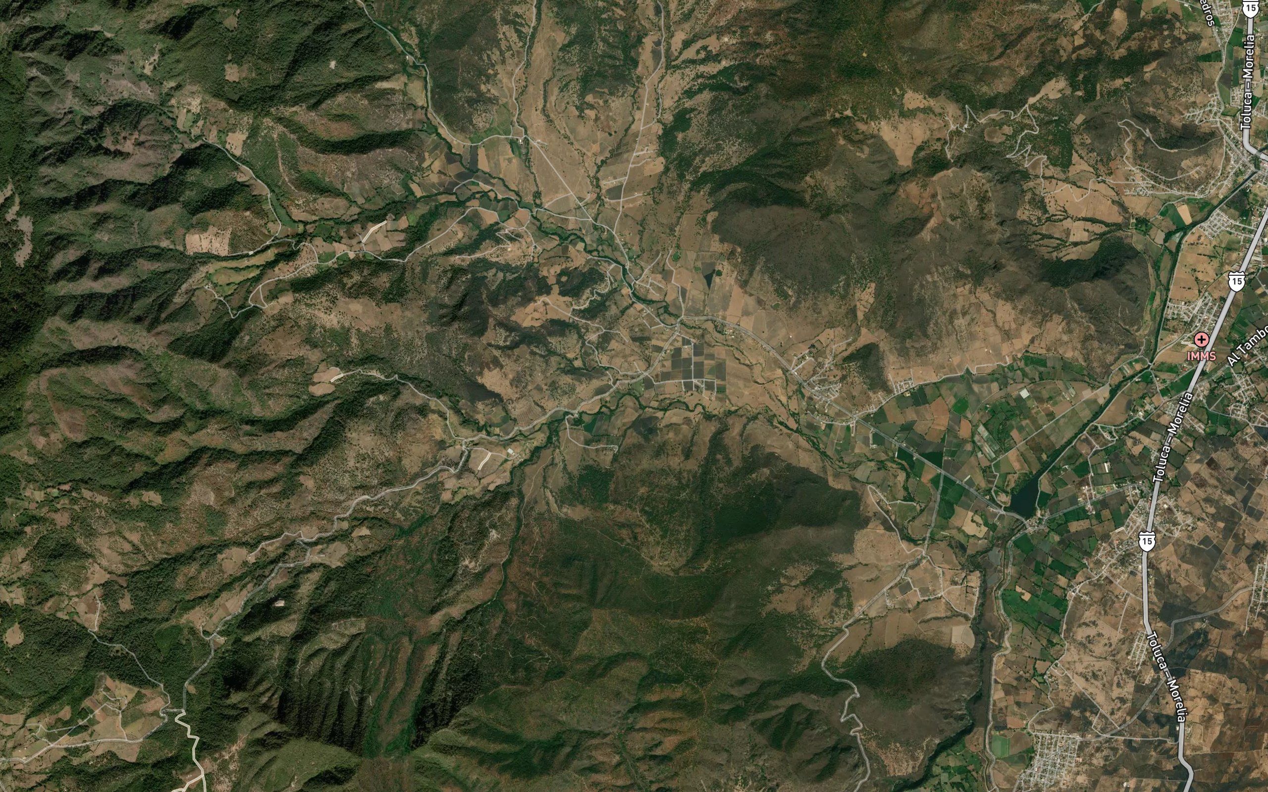 El Carrizal