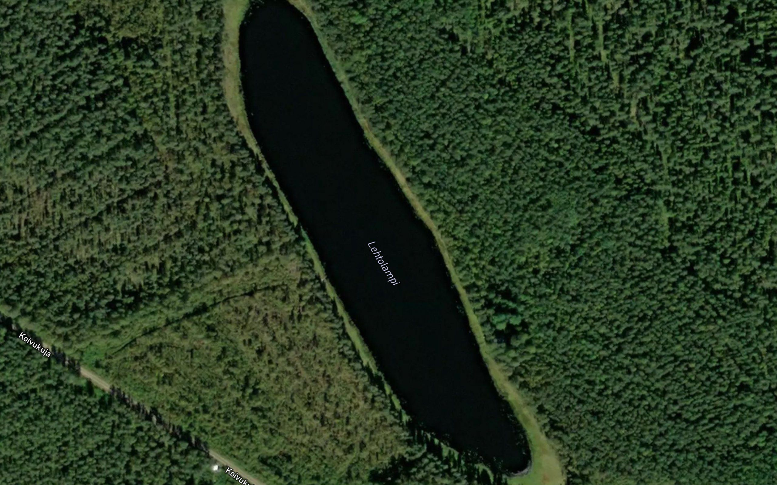 Lehtolampi