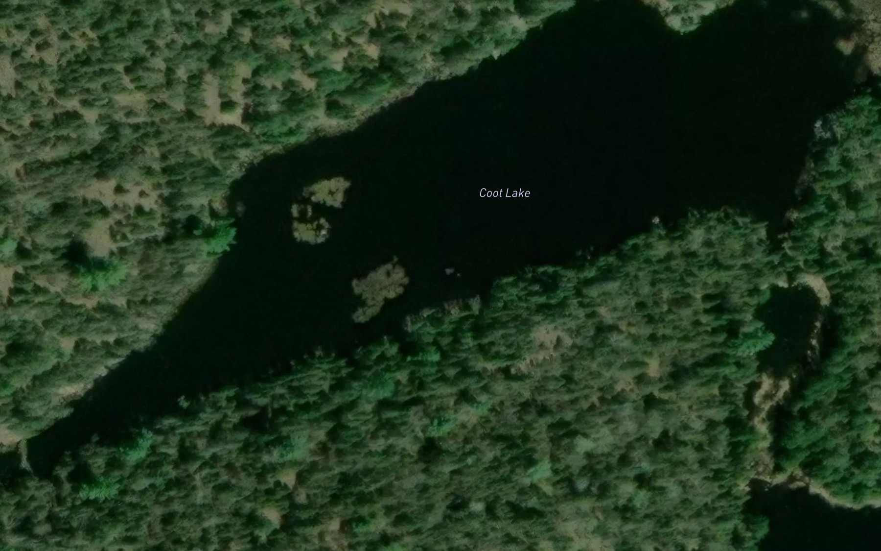 Satellite map of the Coot Lake