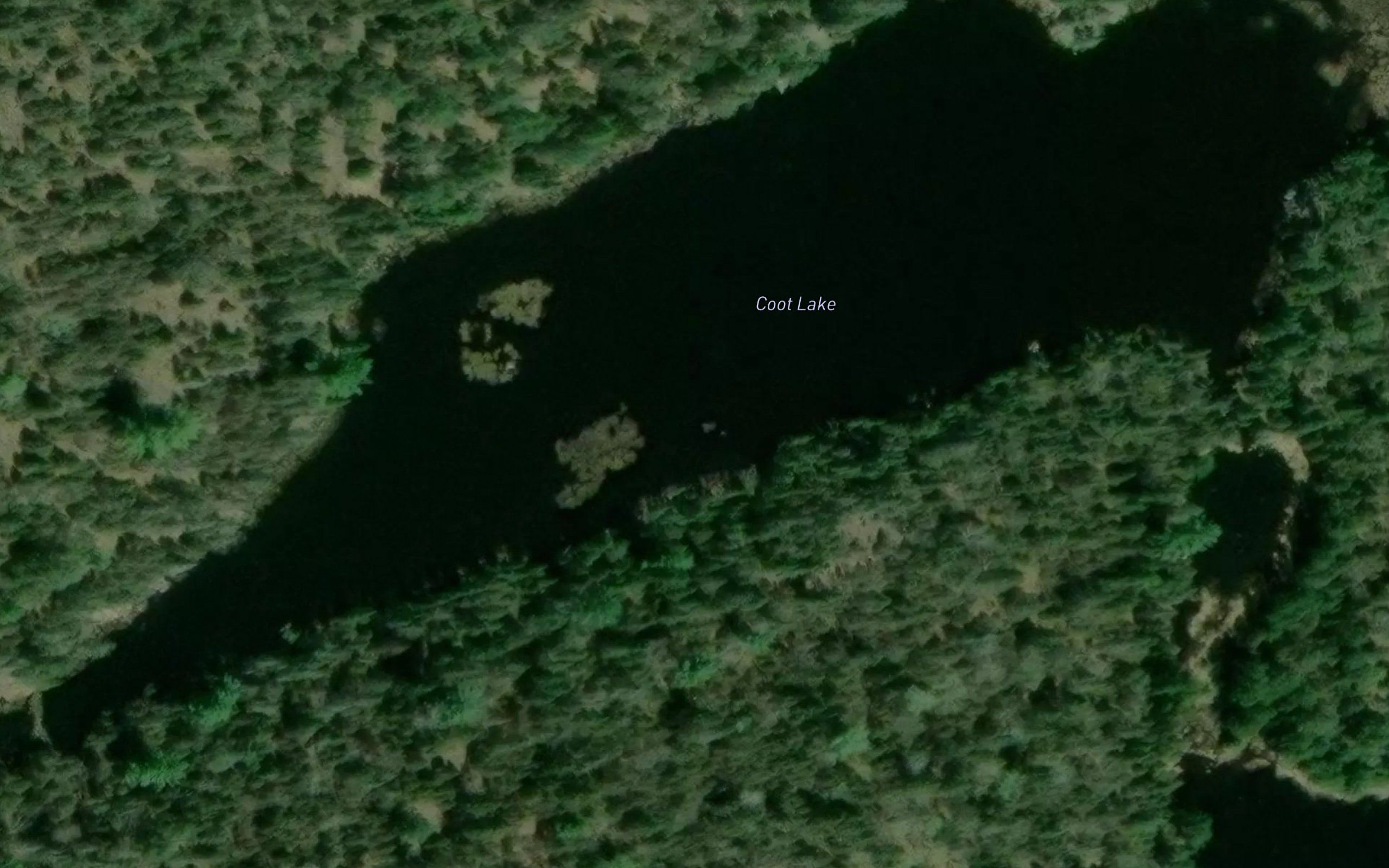 Coot Lake