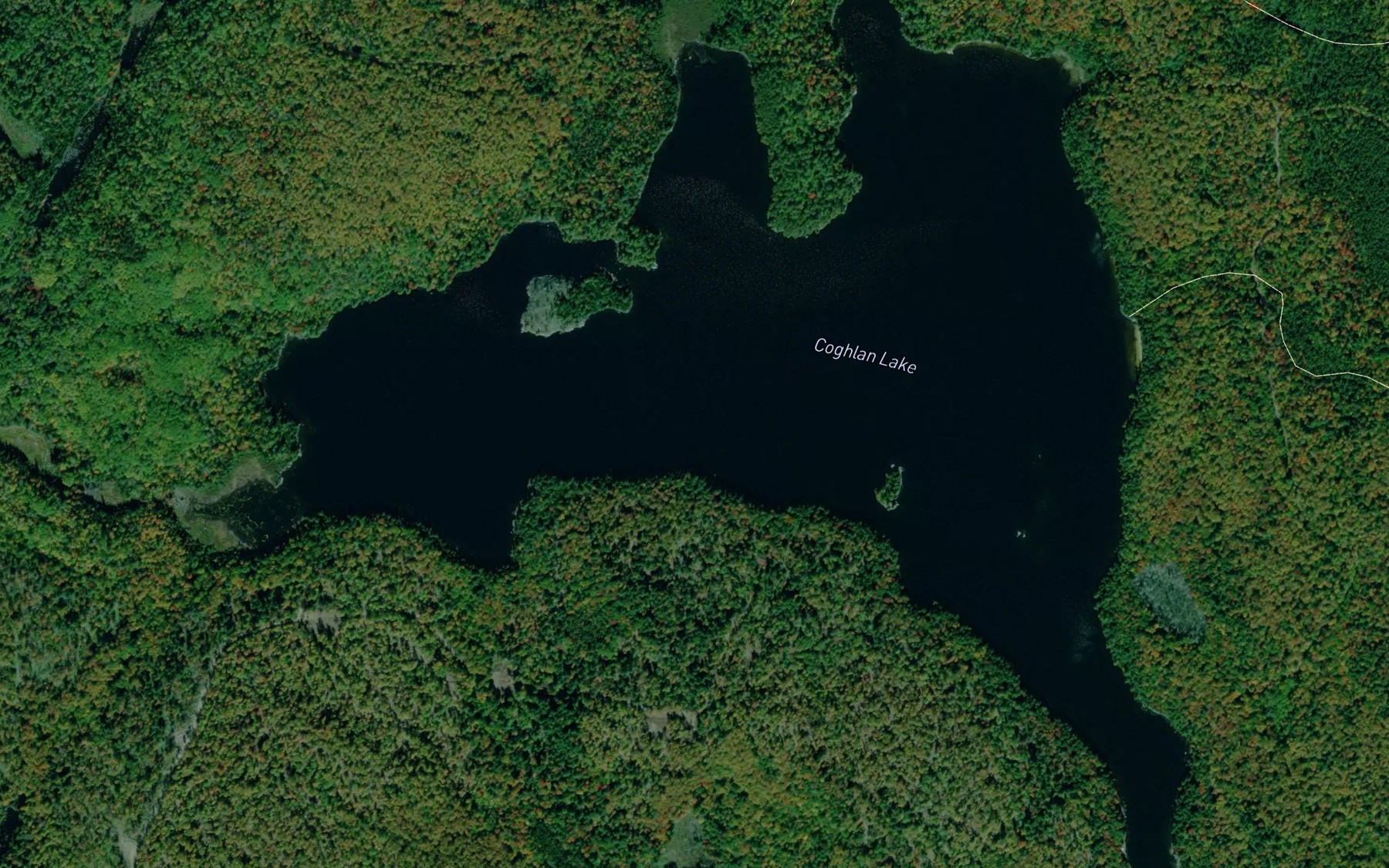 Satellite map of the Coghlan Lake