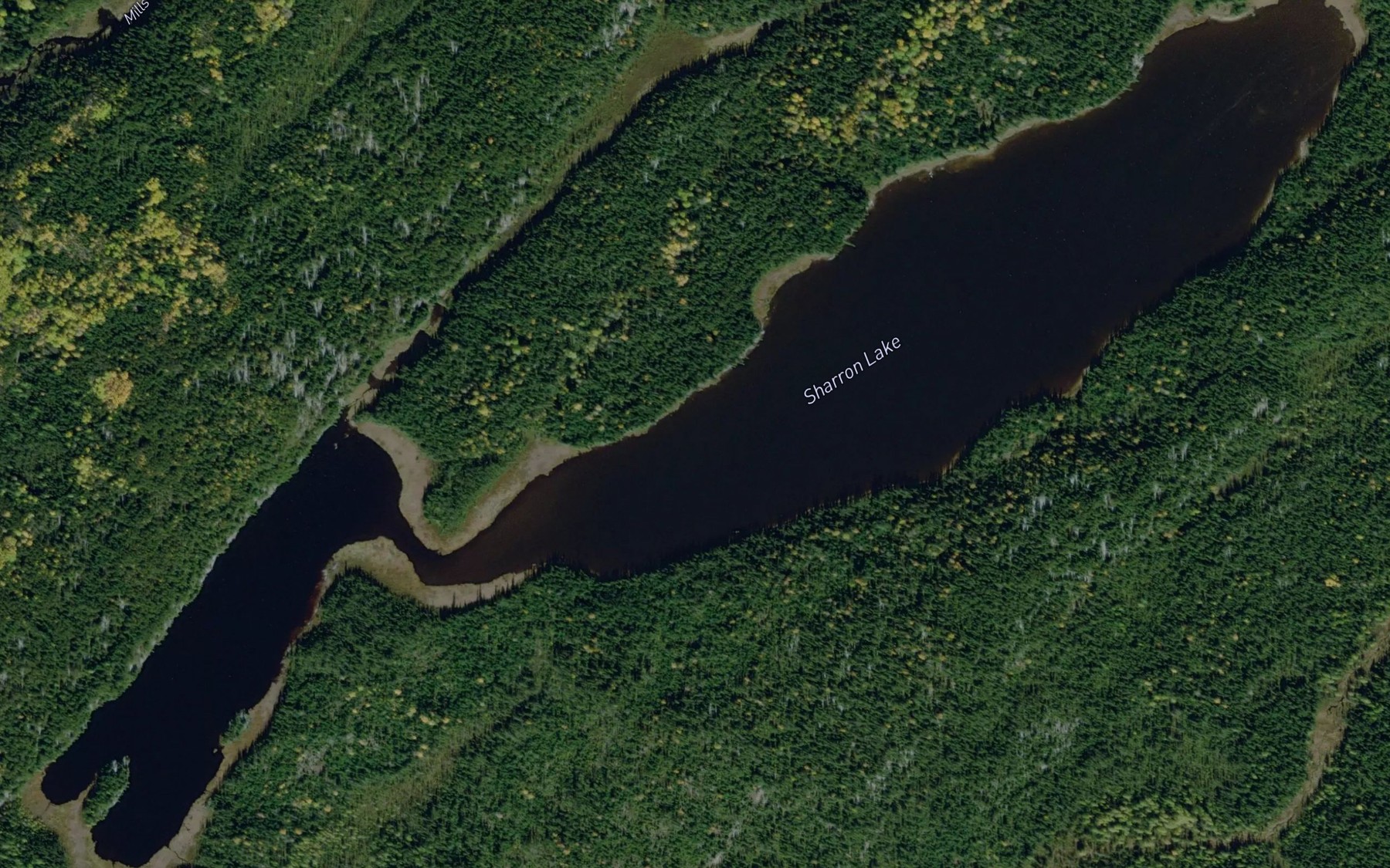 Satellite map of the Sharron Lake