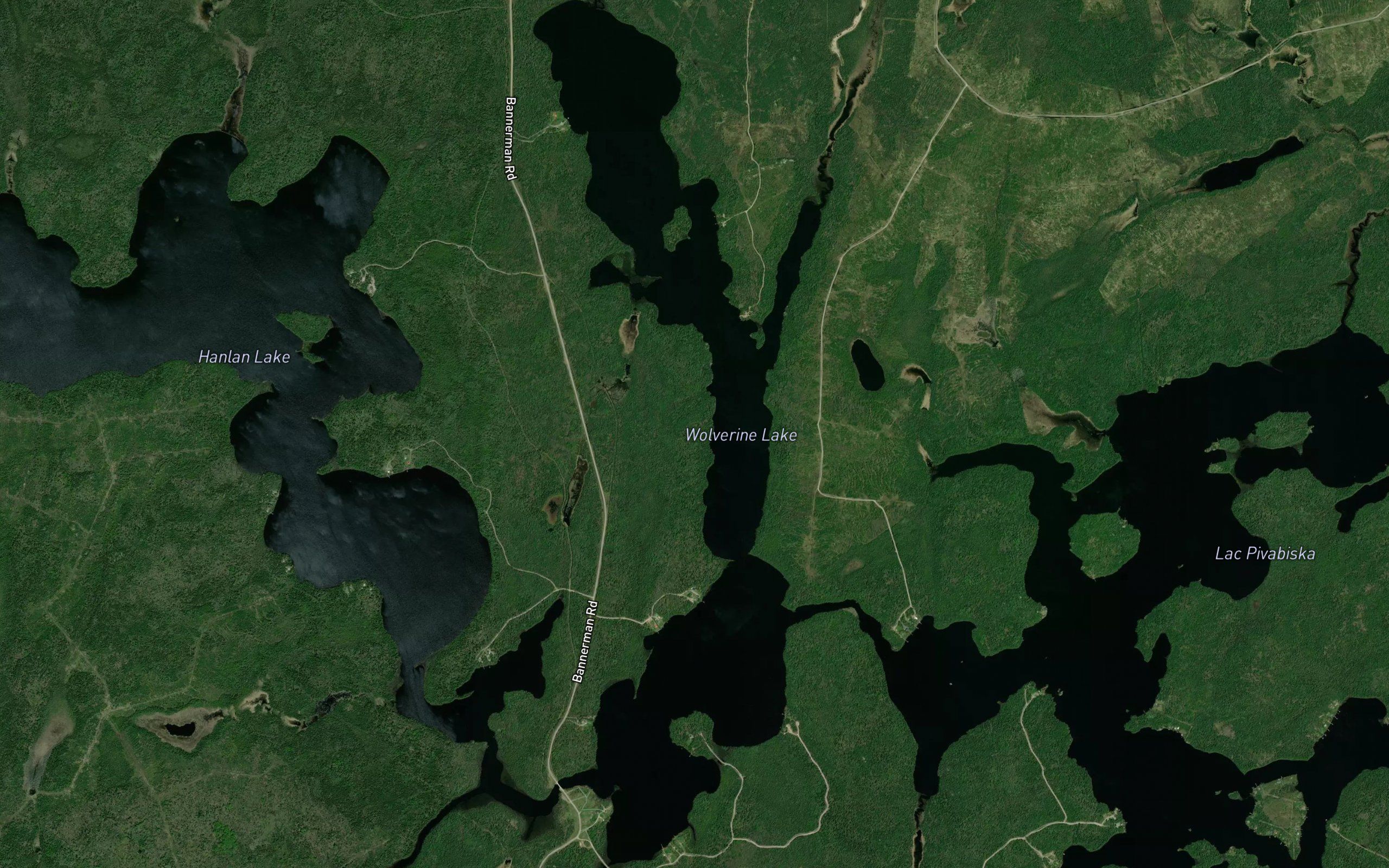 Wolverine Lake
