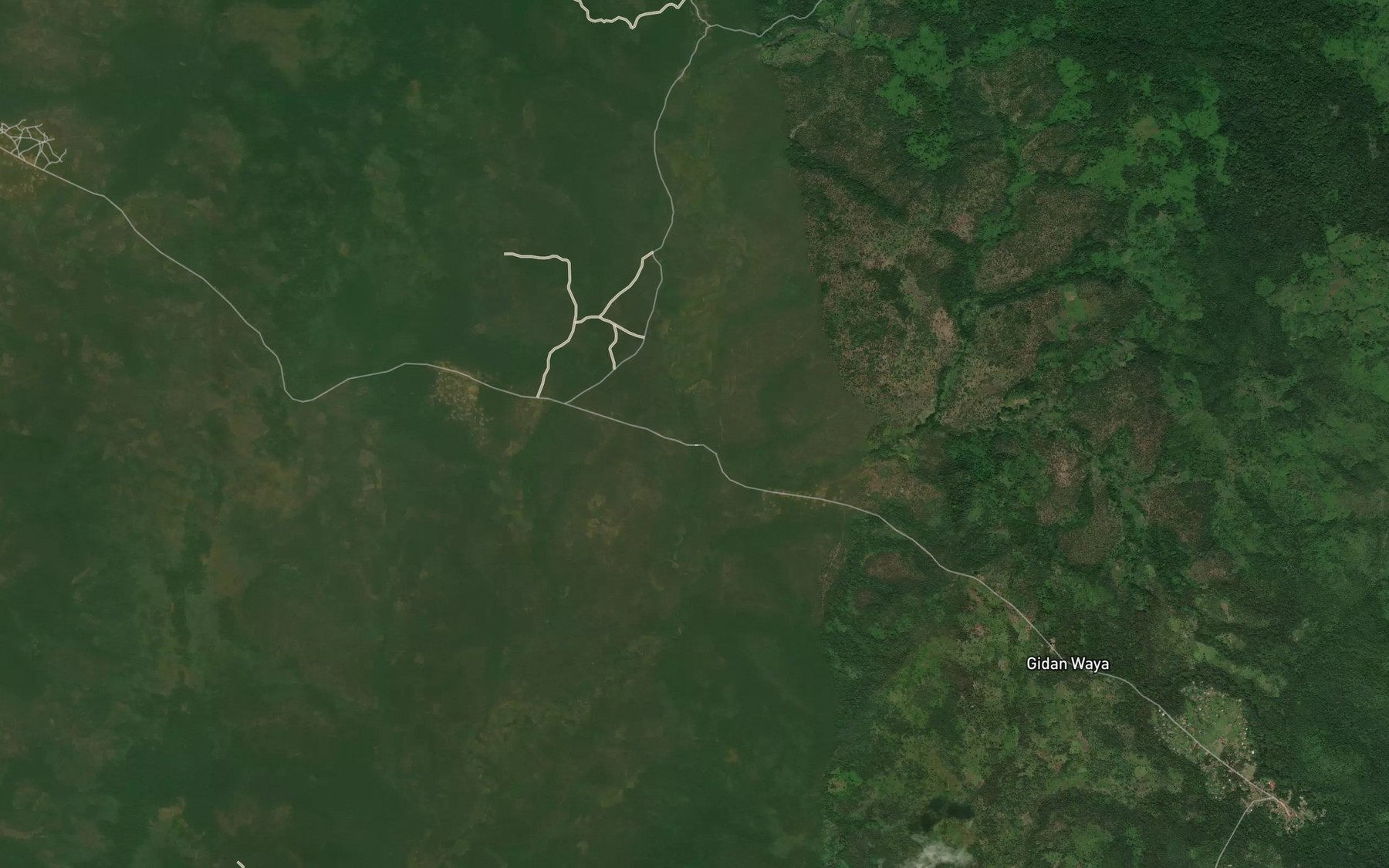 Satellite map of the River Adori