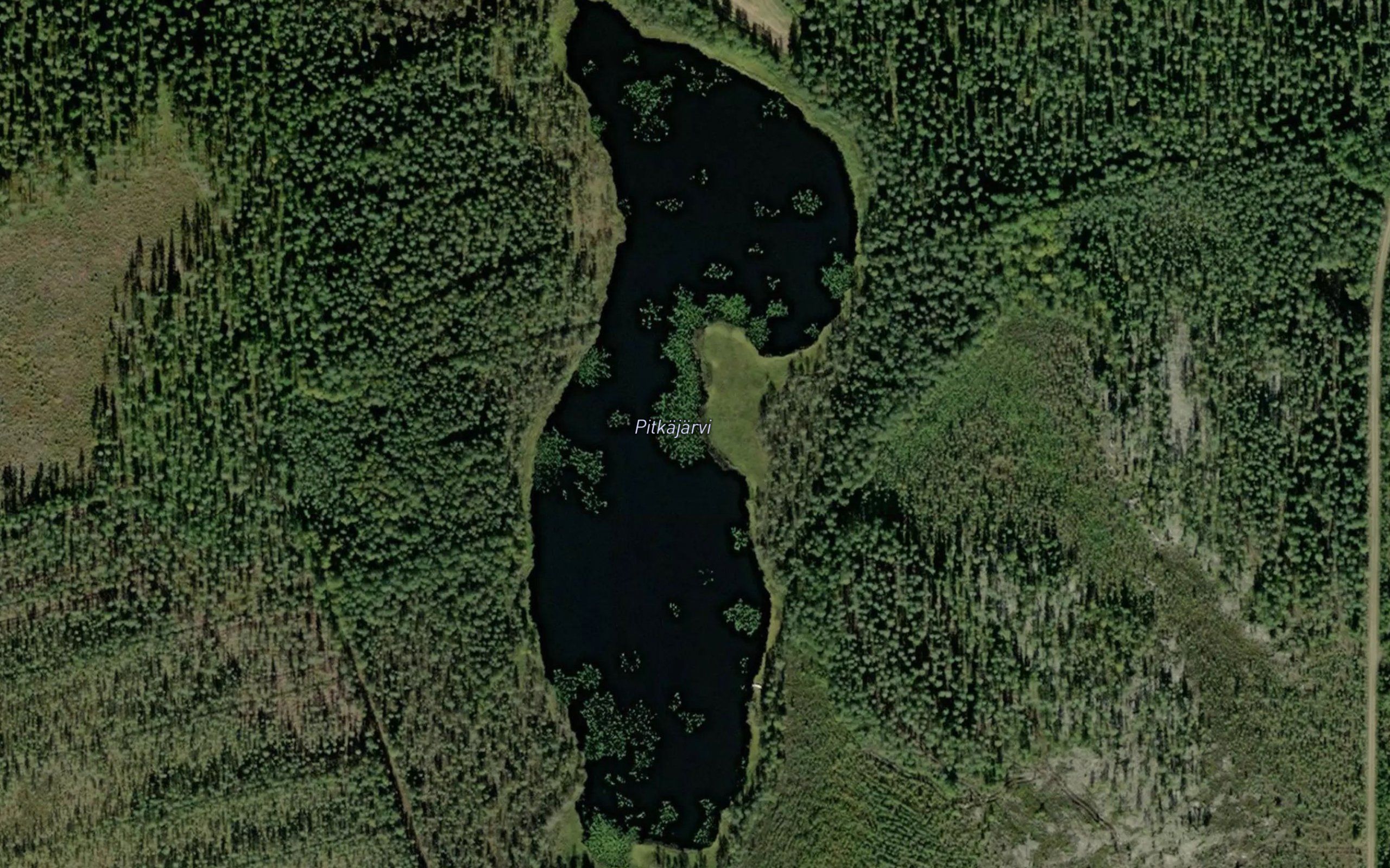 Pitkajarvi