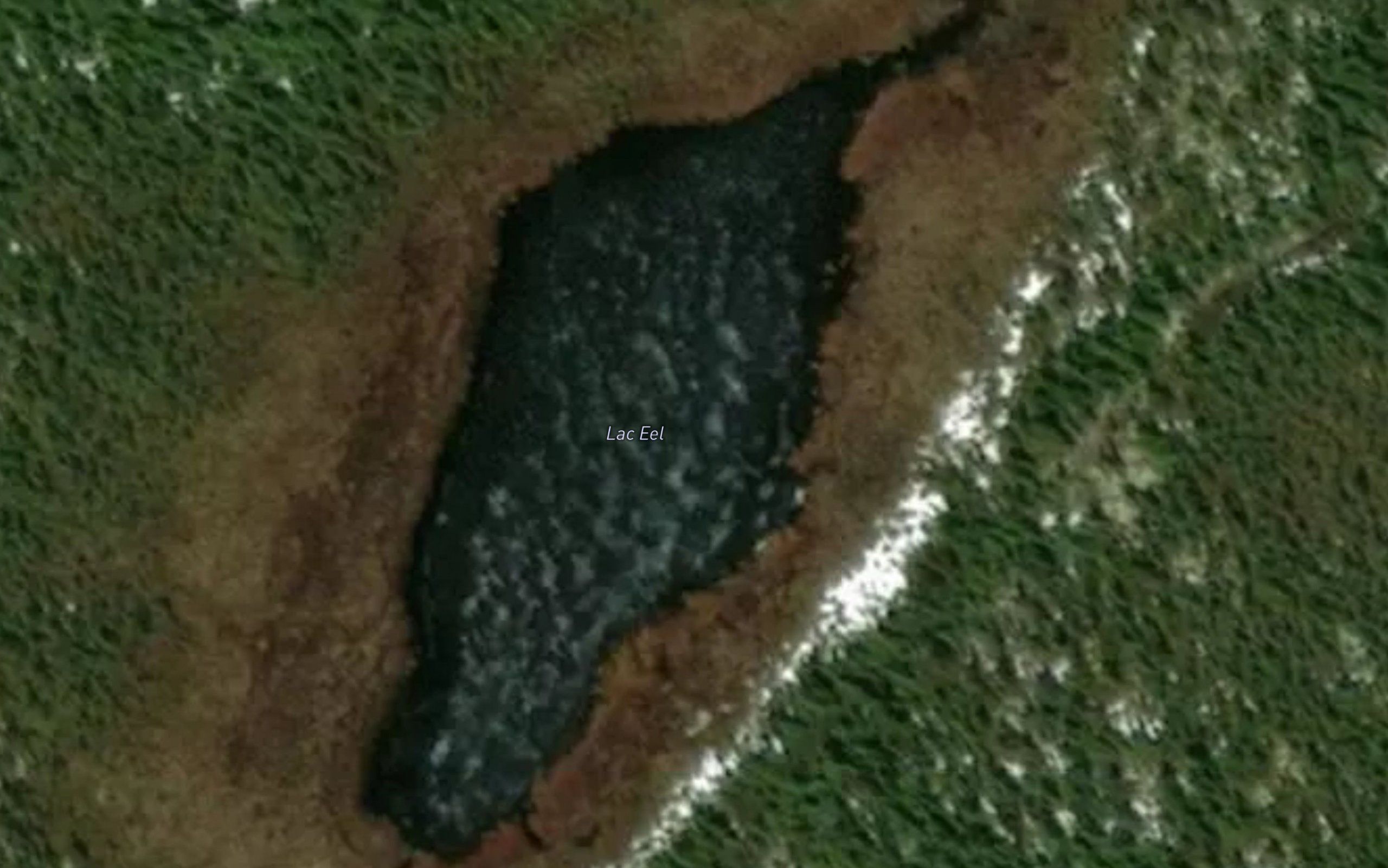Lac Eel