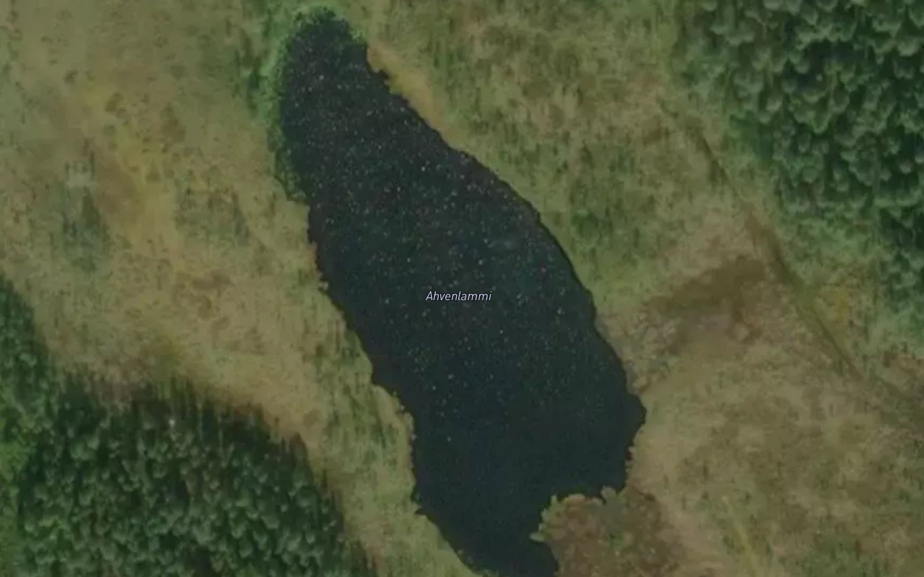 Satellite map of the Ahvenlammi