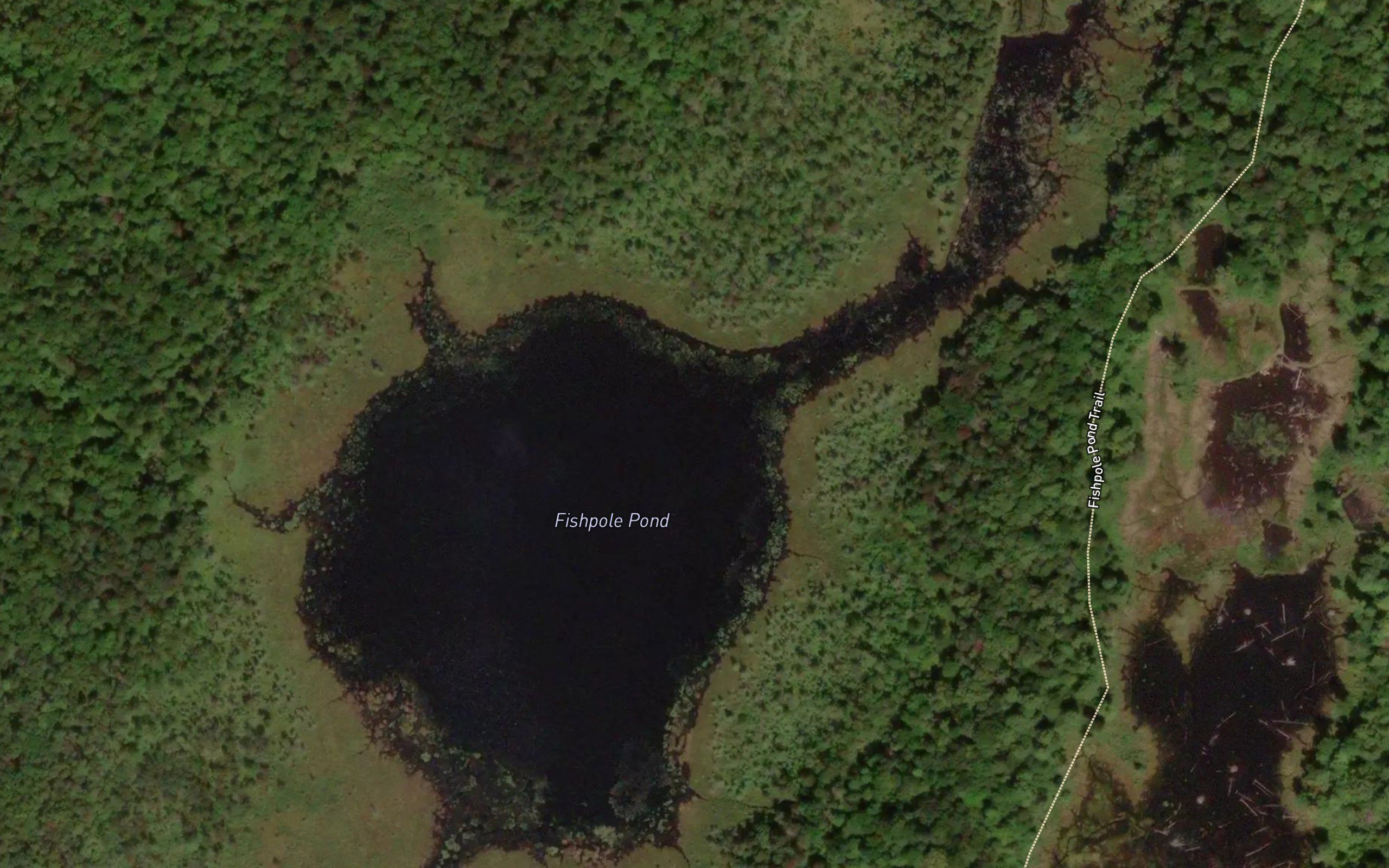 Fishpole Pond