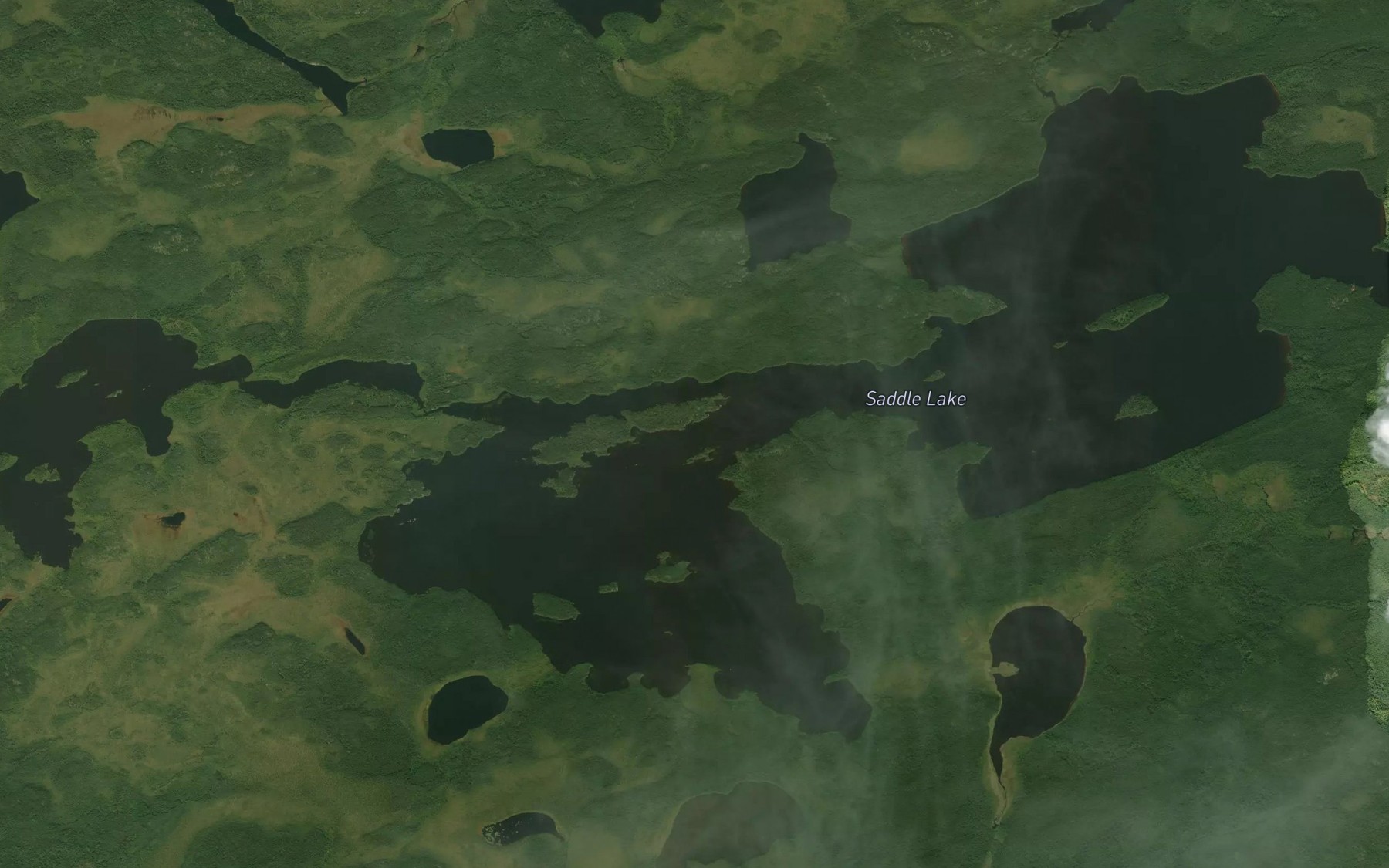 Satellite map of the Saddle Lake