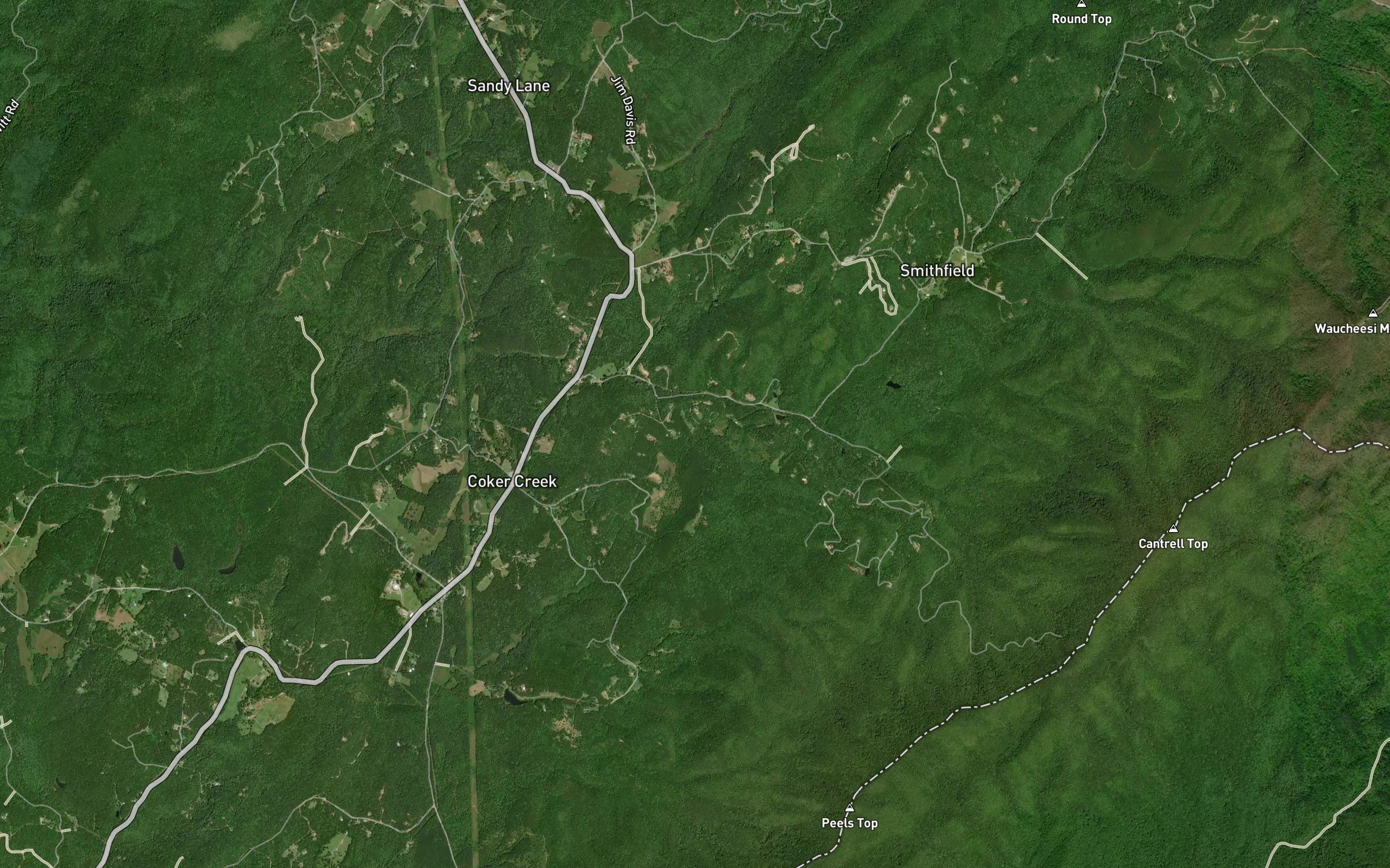 Johnson Branch