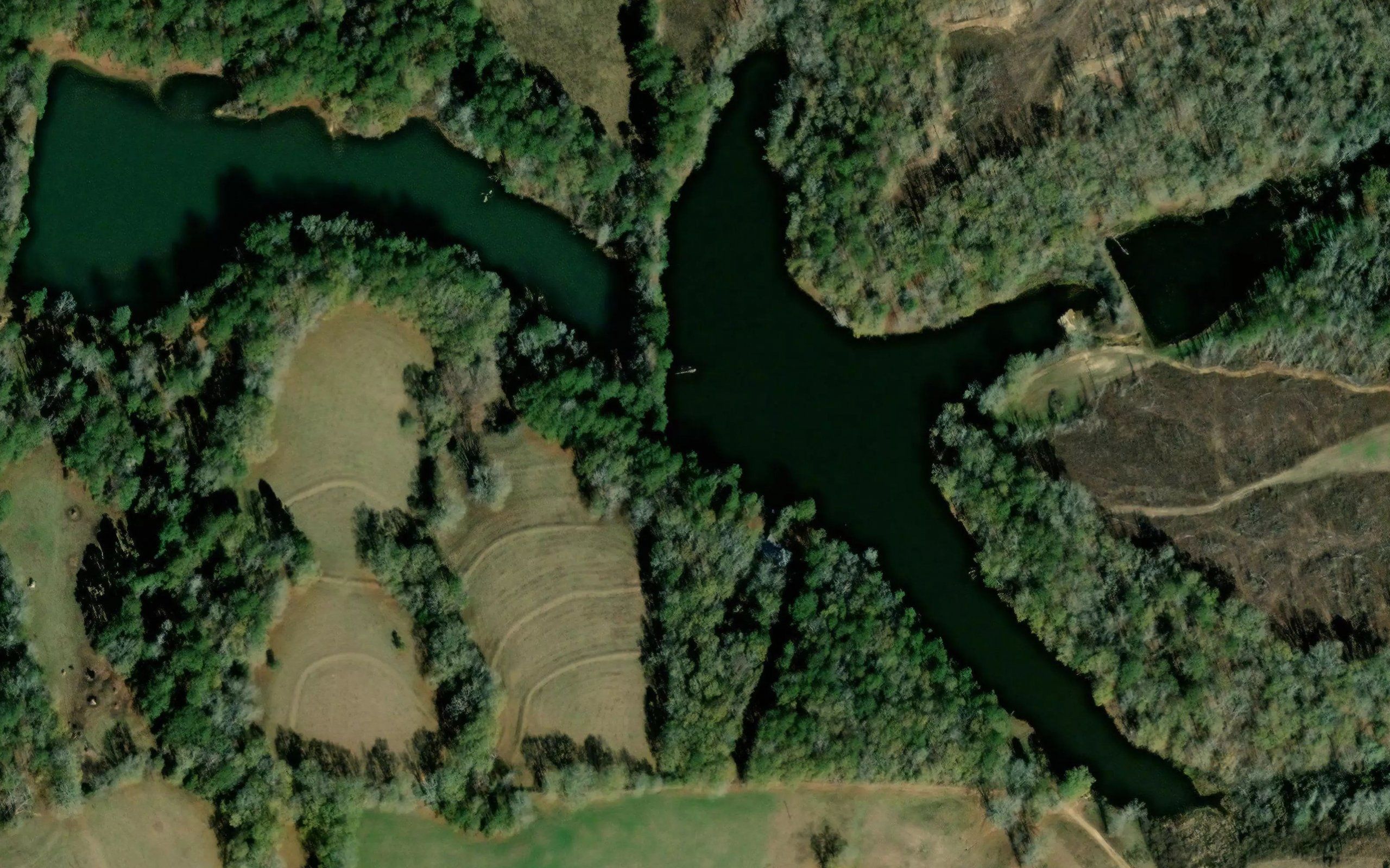 Louisville Club Pond