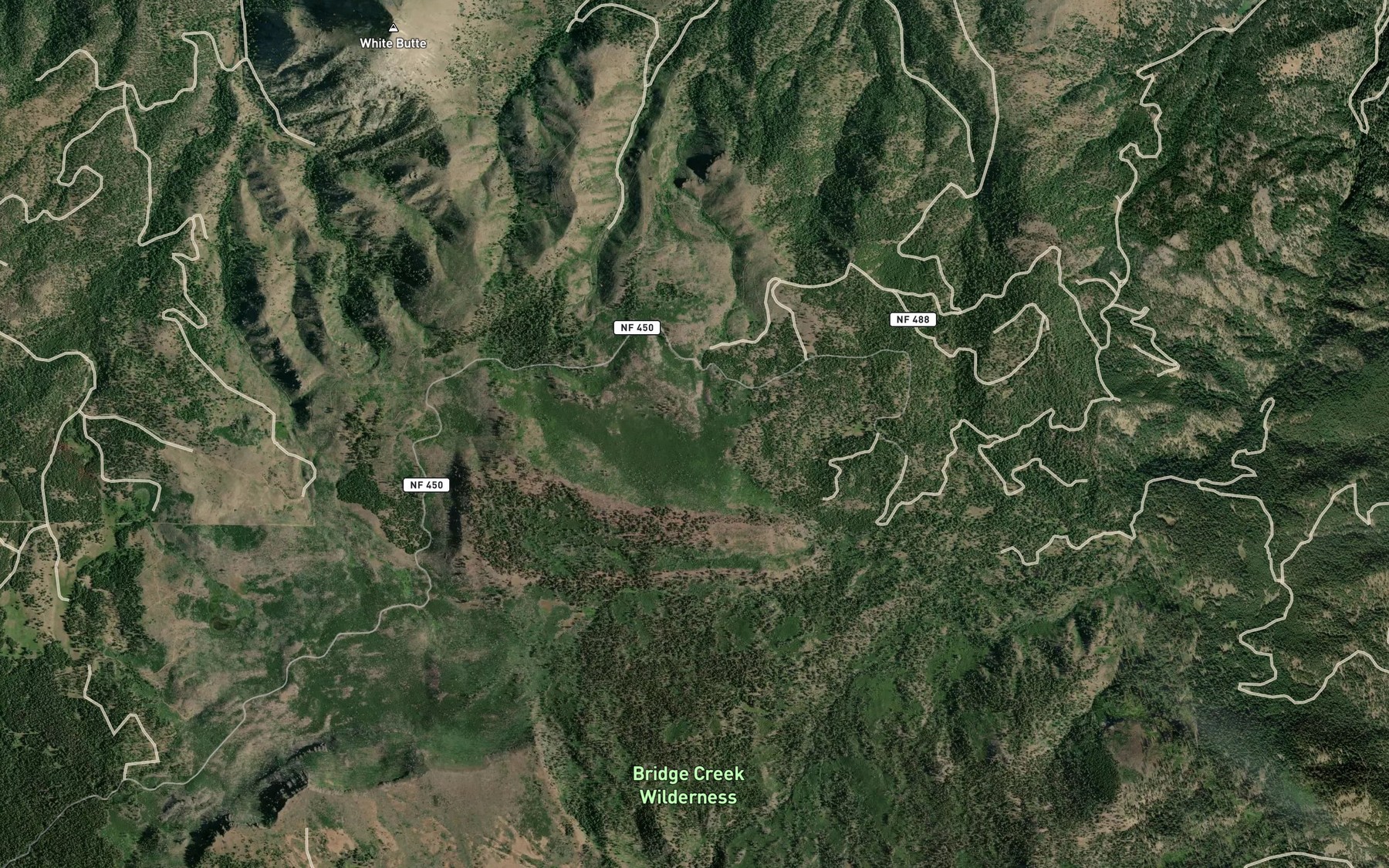 Satellite map of the Nelson Spring