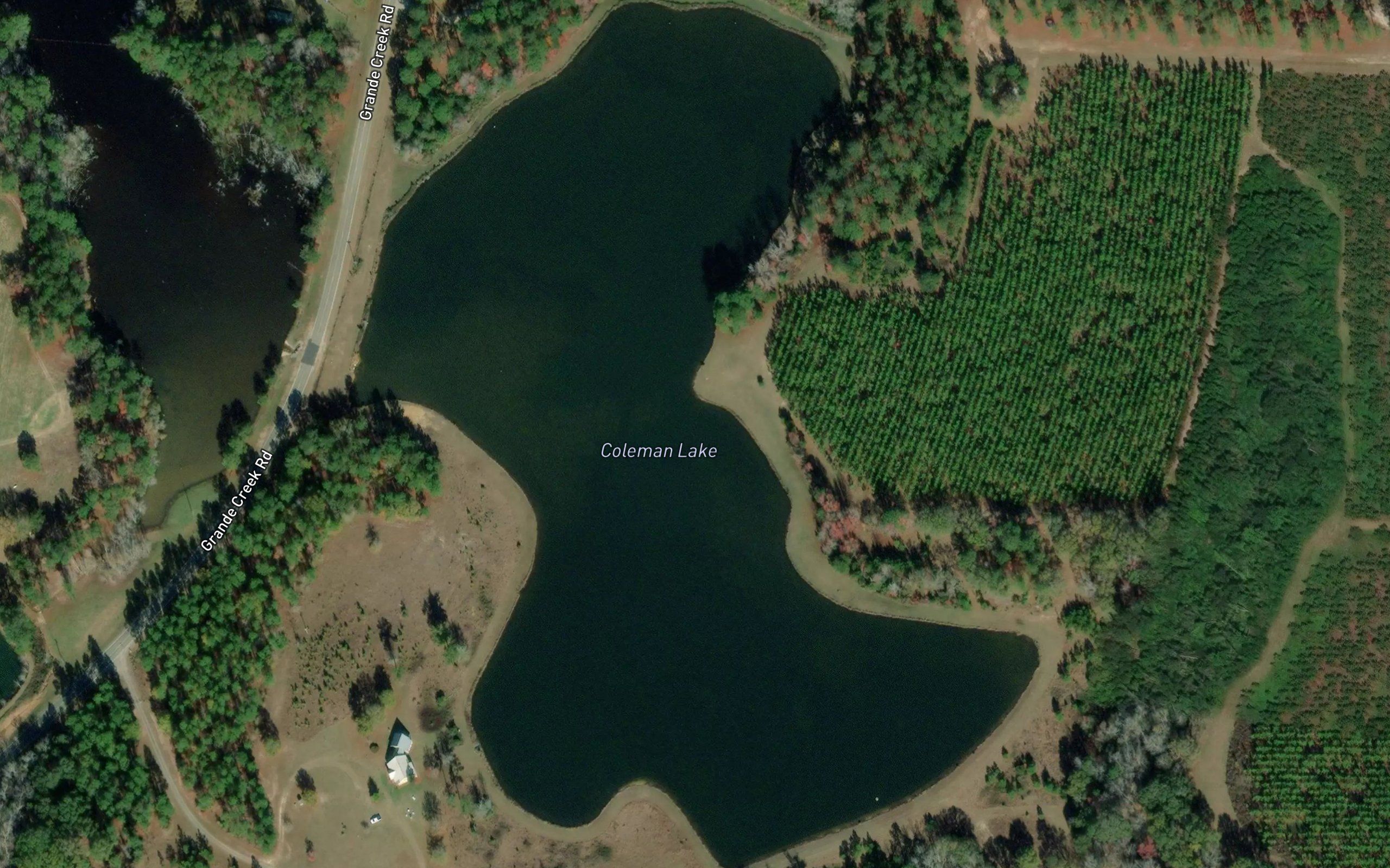 Coleman Lake