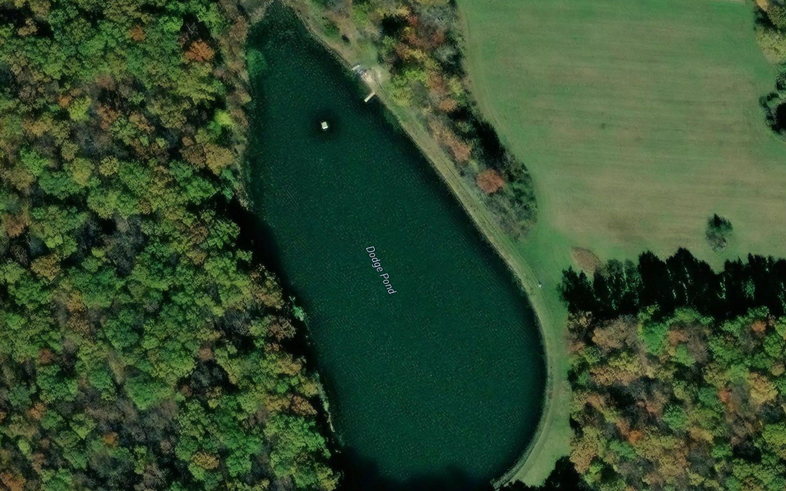 Dodge Pond