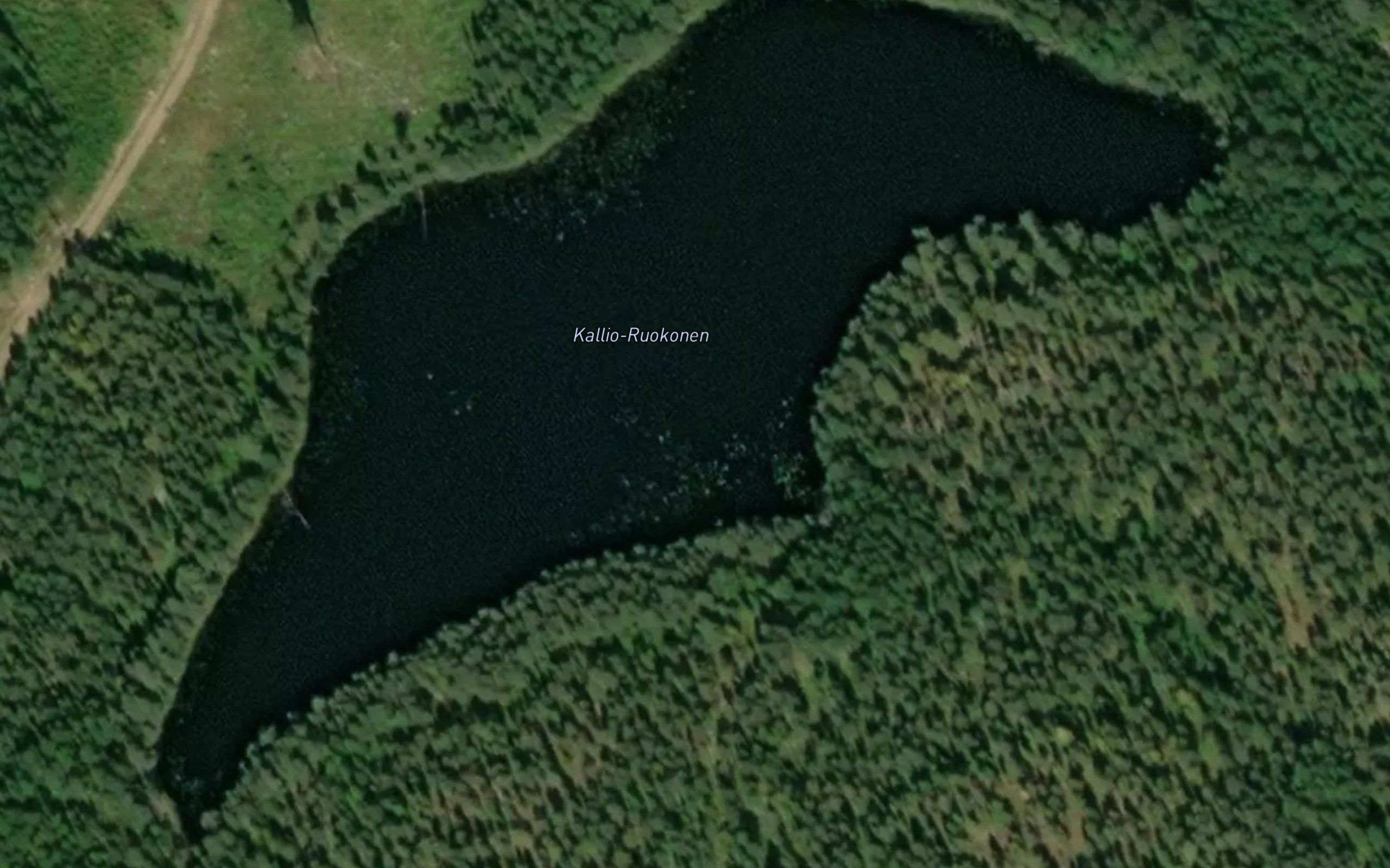 Kallio-Ruokonen