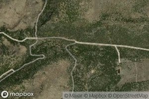 Milligan Saddle Spring