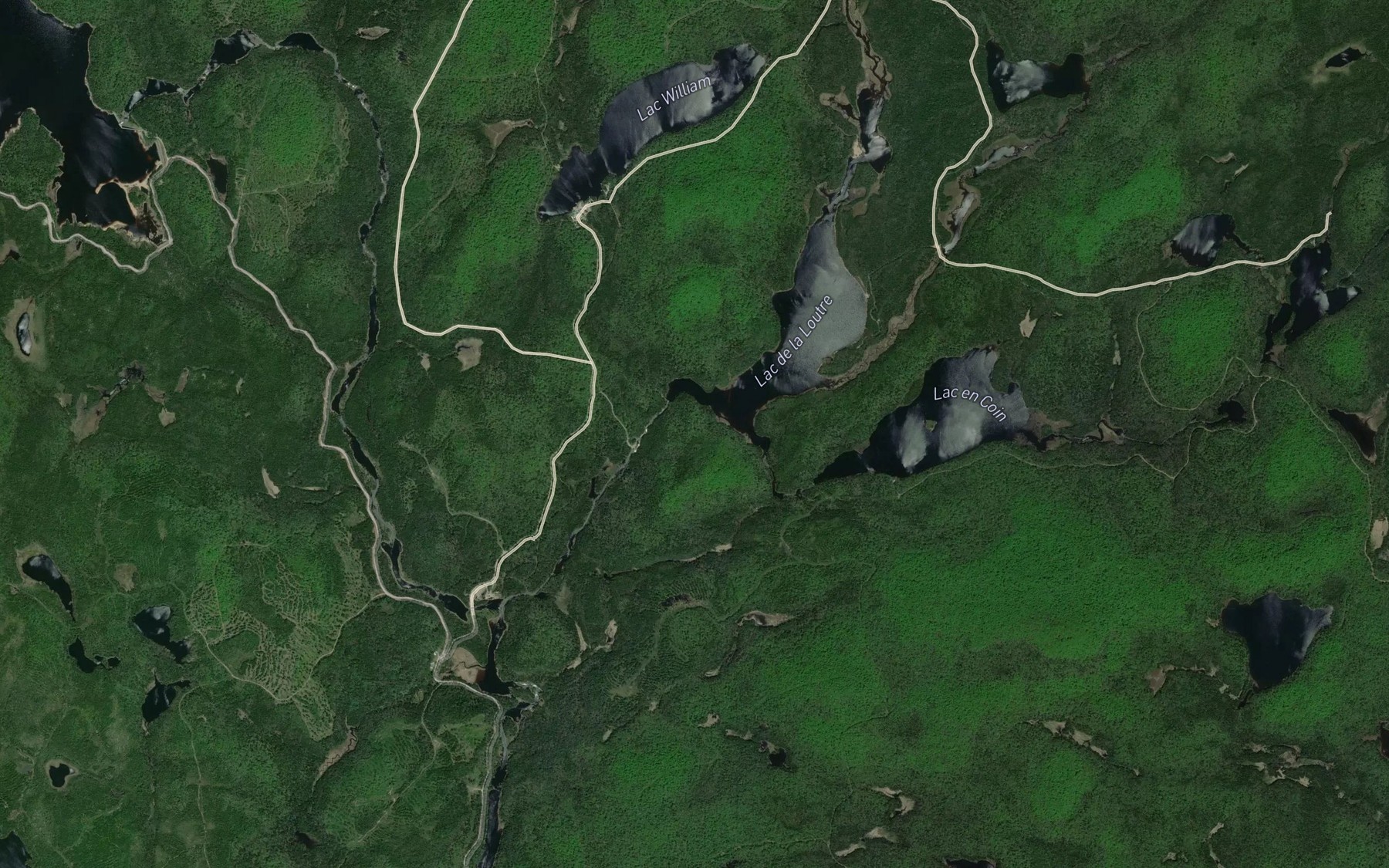 Satellite map of the Lac Michel