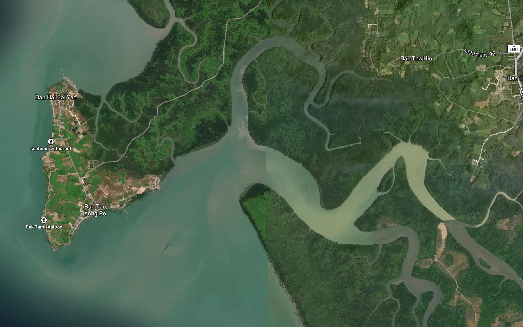 Satellite map of the Khlong Tang Koi