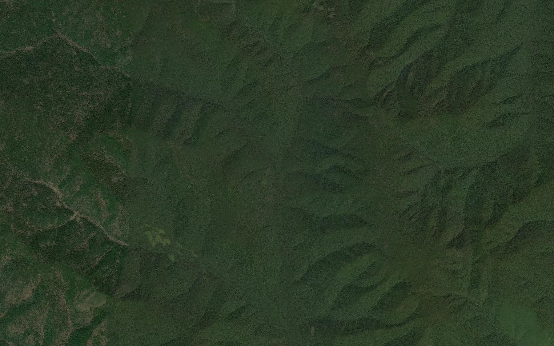 Satellite map of the Levyye Lafi
