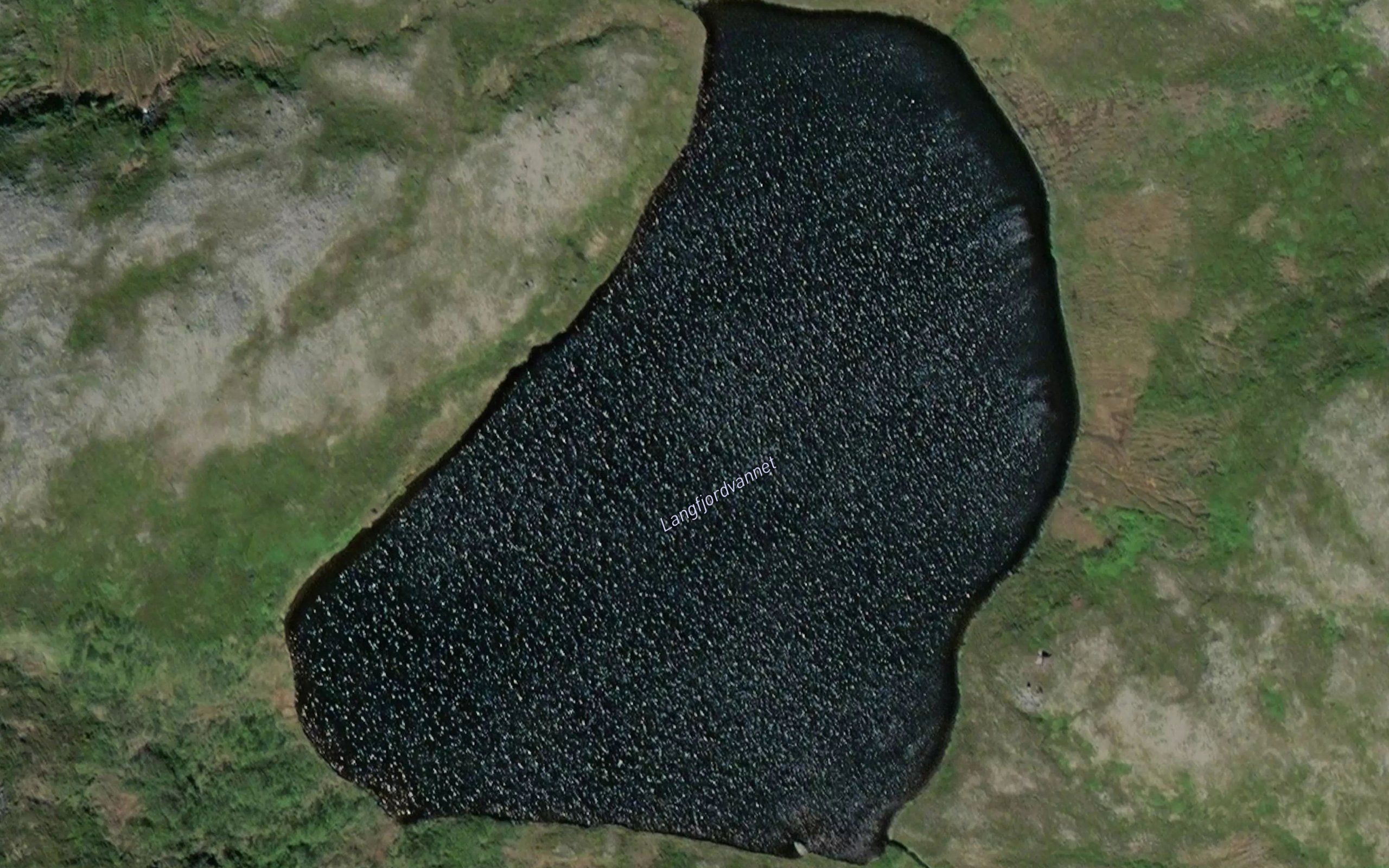 Langfjordvatnet