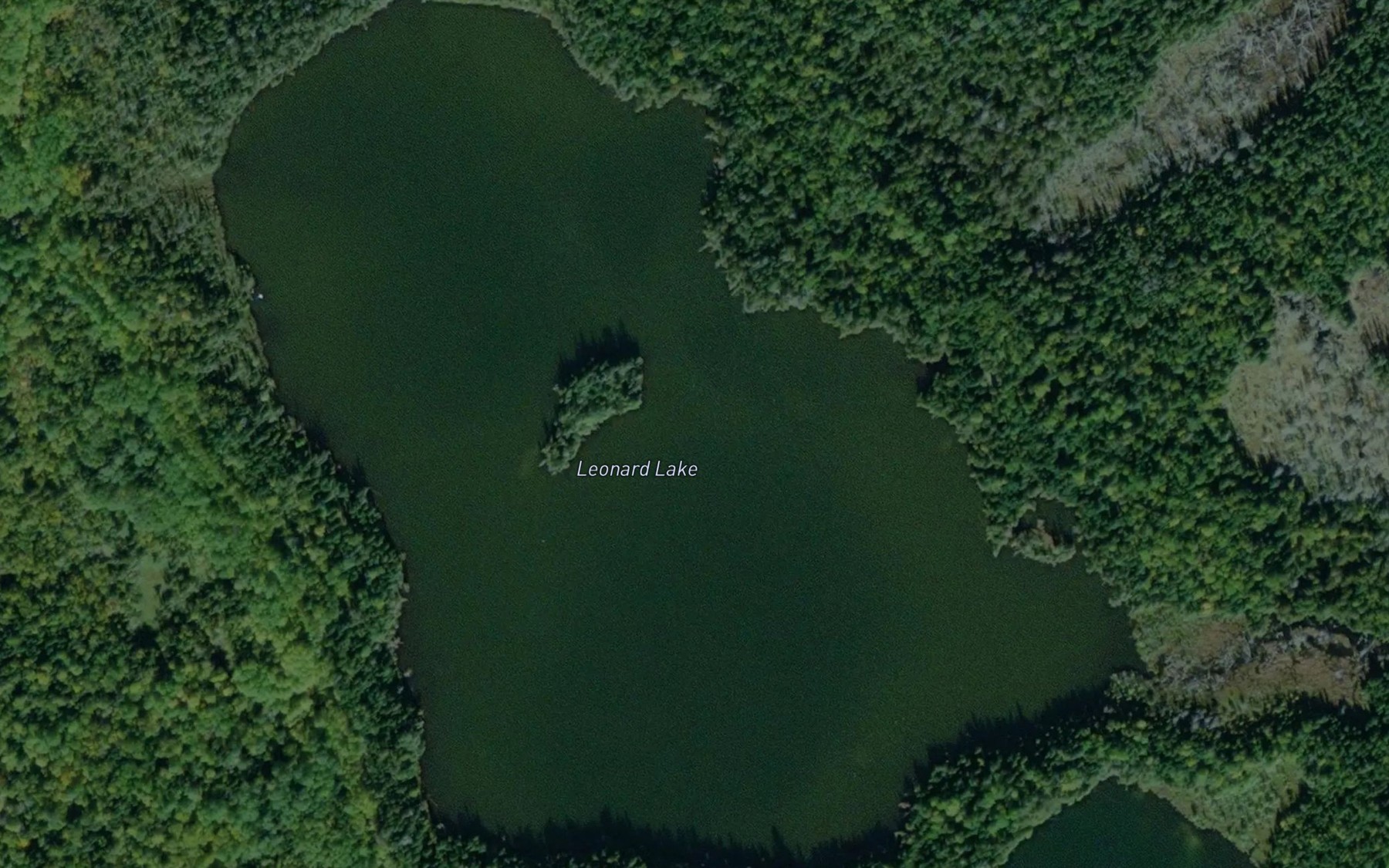 Satellite map of the Leonard Lake