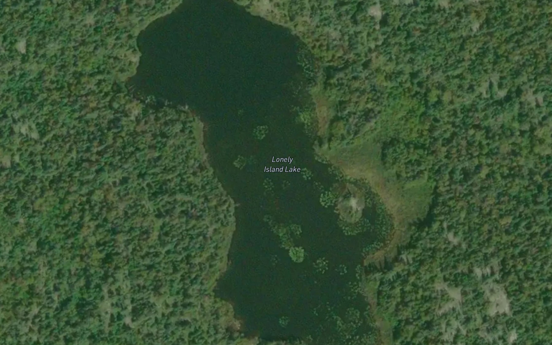 Satellite map of the Lonely Island Lake