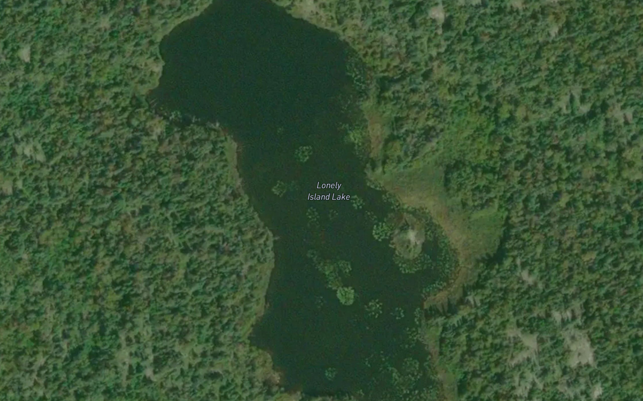 Lonely Island Lake
