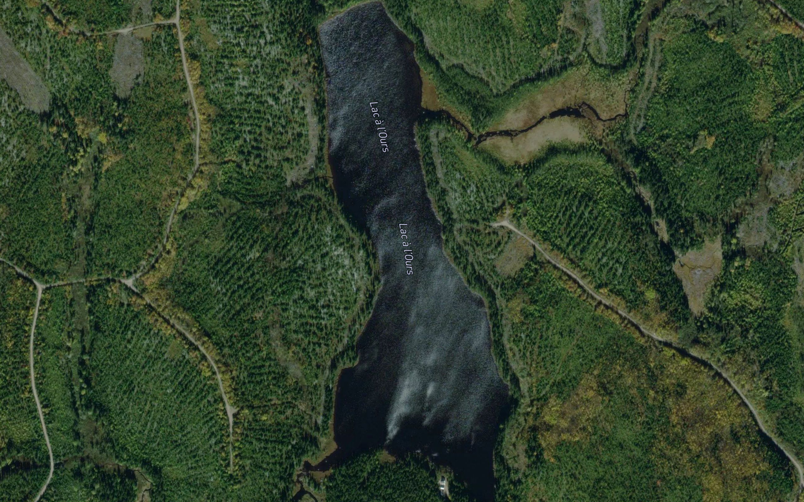 Petit lac a l'Ours